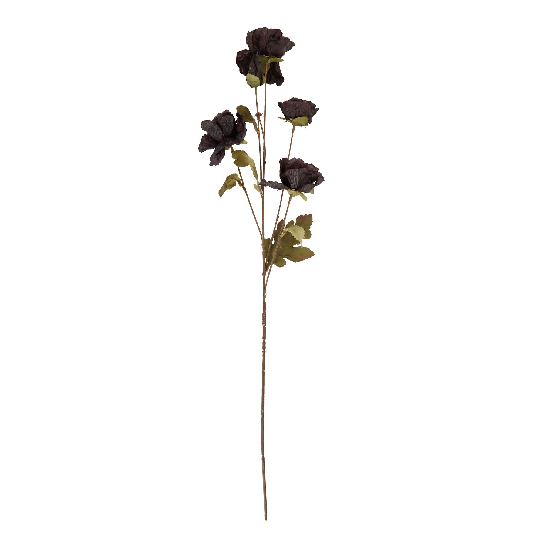 Tall Black Poppy Stem - Image 4