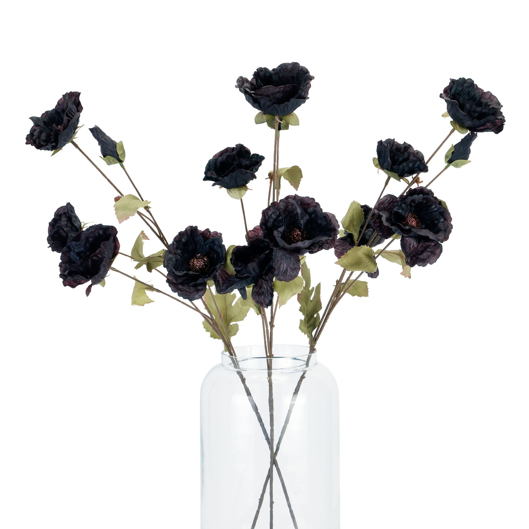 Tall Black Poppy Stem - Image 5