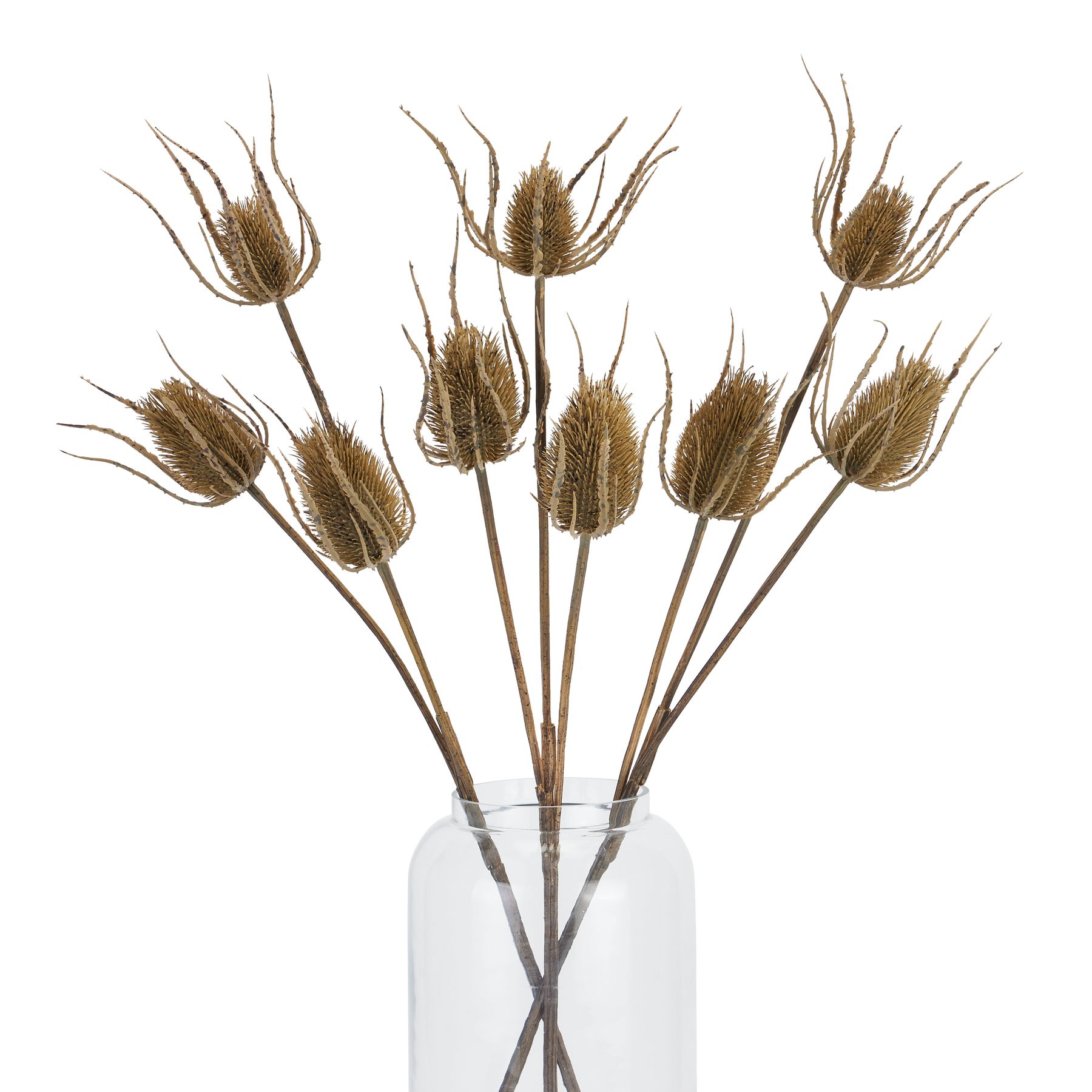 Large Brown Triple Teasle Stem - Image 5