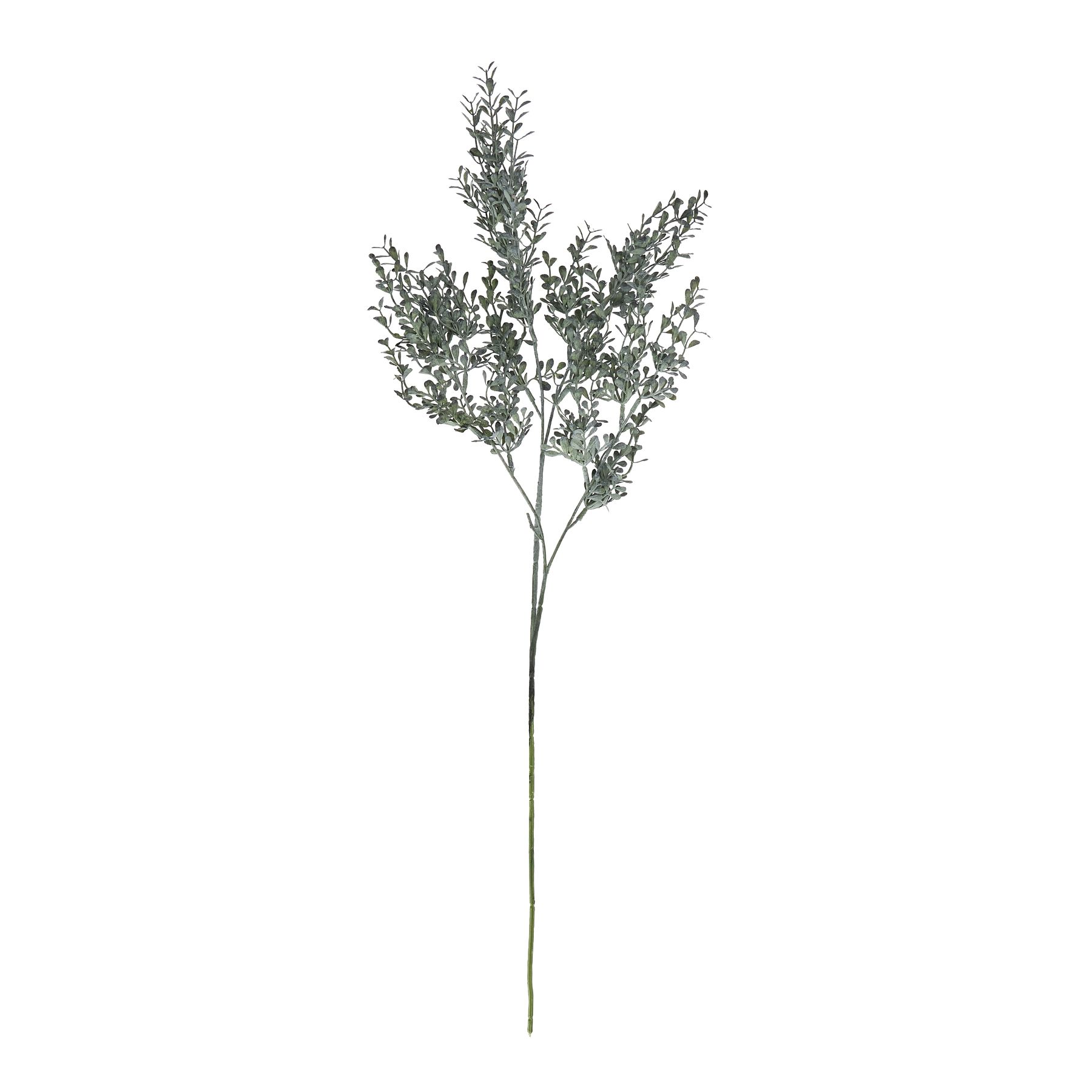 Blackened Grass Spray Stem - Image 4