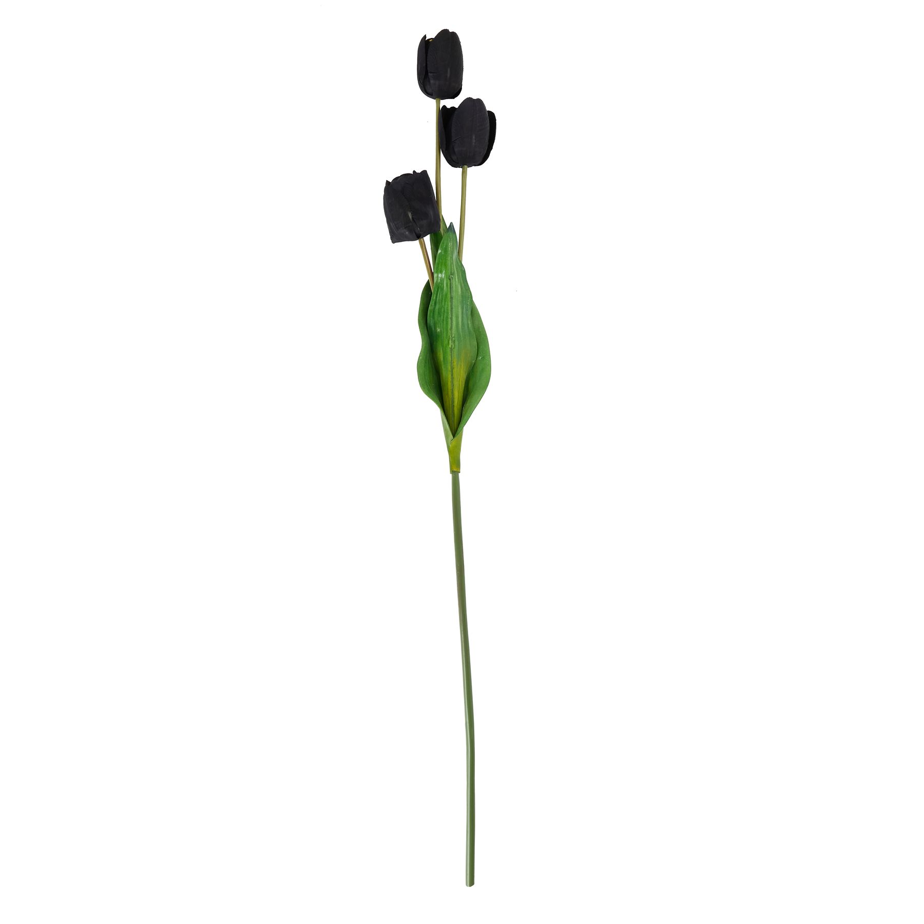 Tall Black Triple Tulip Stem - Image 4