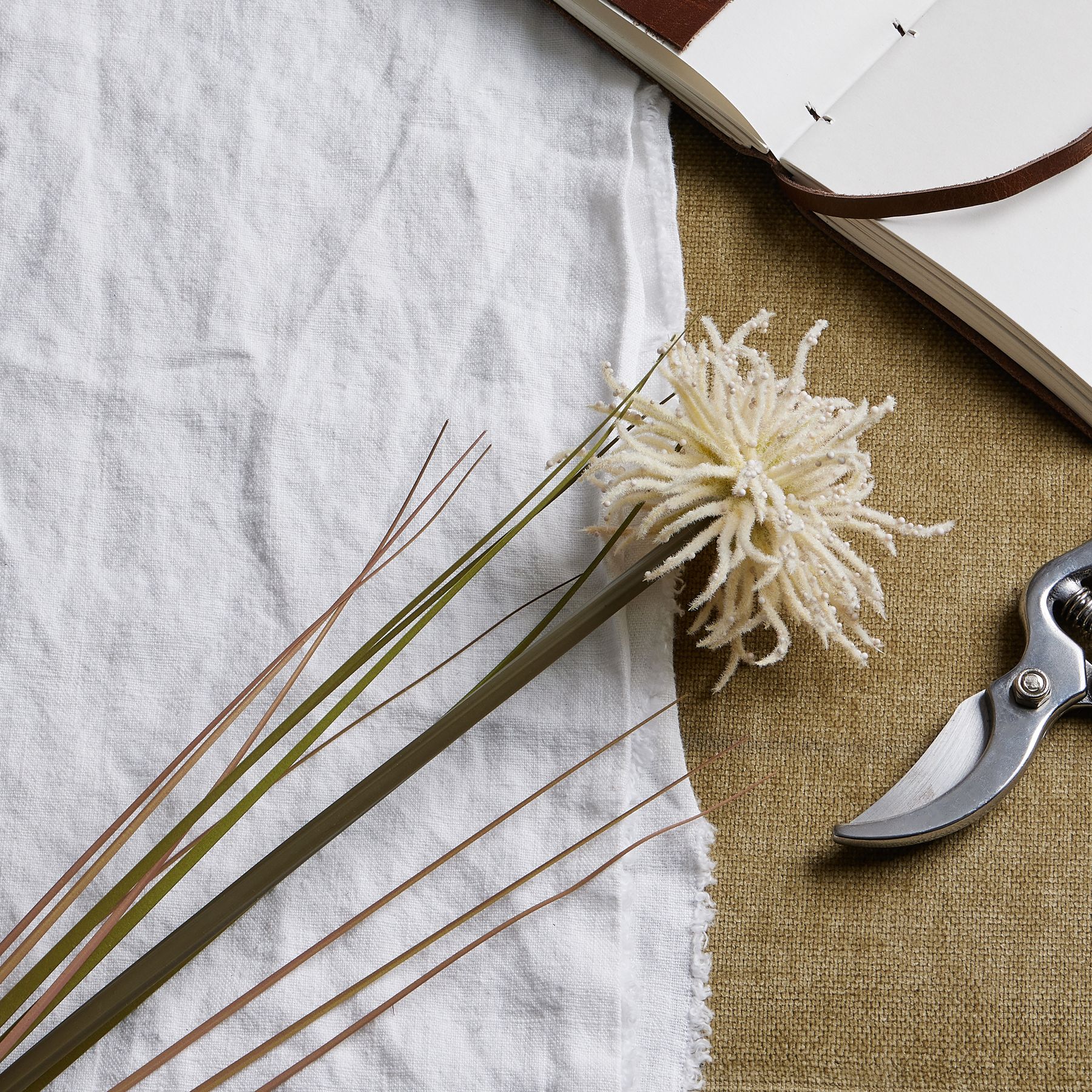 Cream Aster Spider Chrysanthemum Stem - Image 2