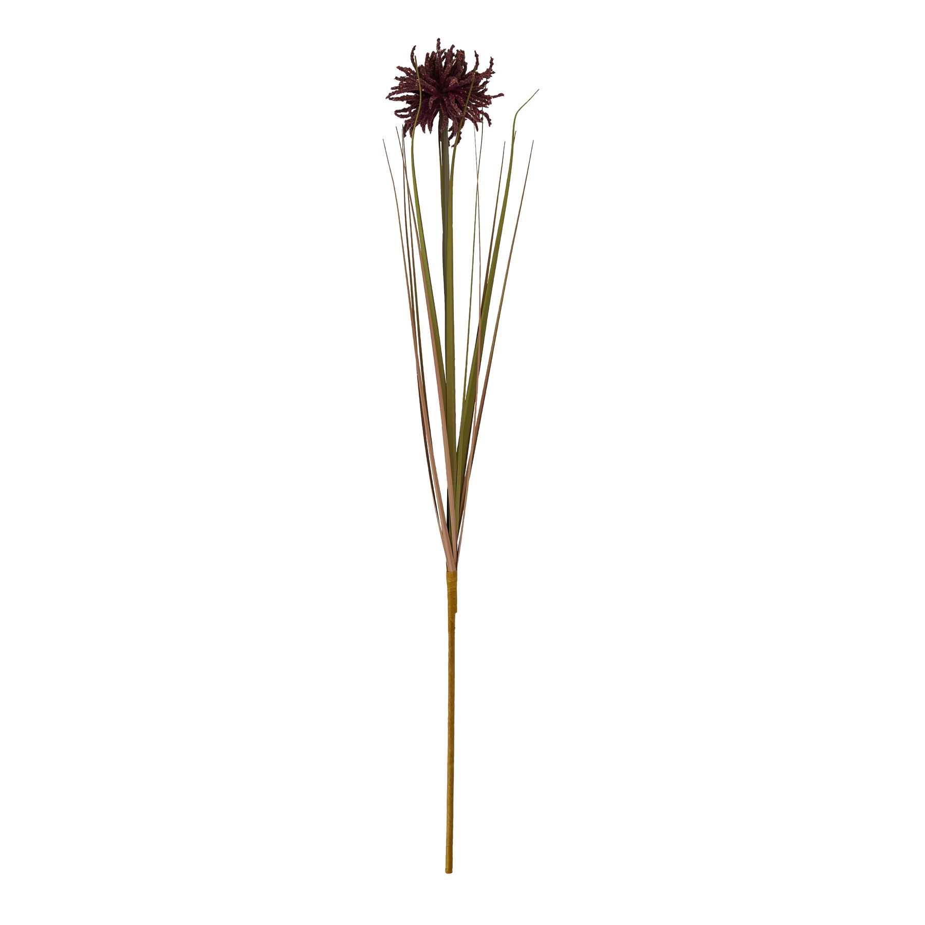 Burgundy Aster Spider Chrysanthemum Stem - Image 4
