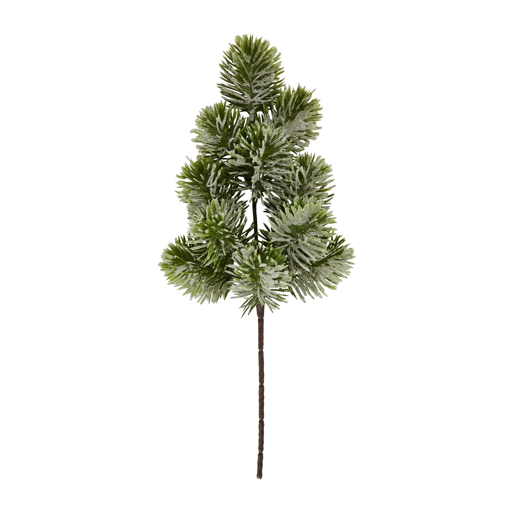 Frosted Pine Single Stem - Image 4