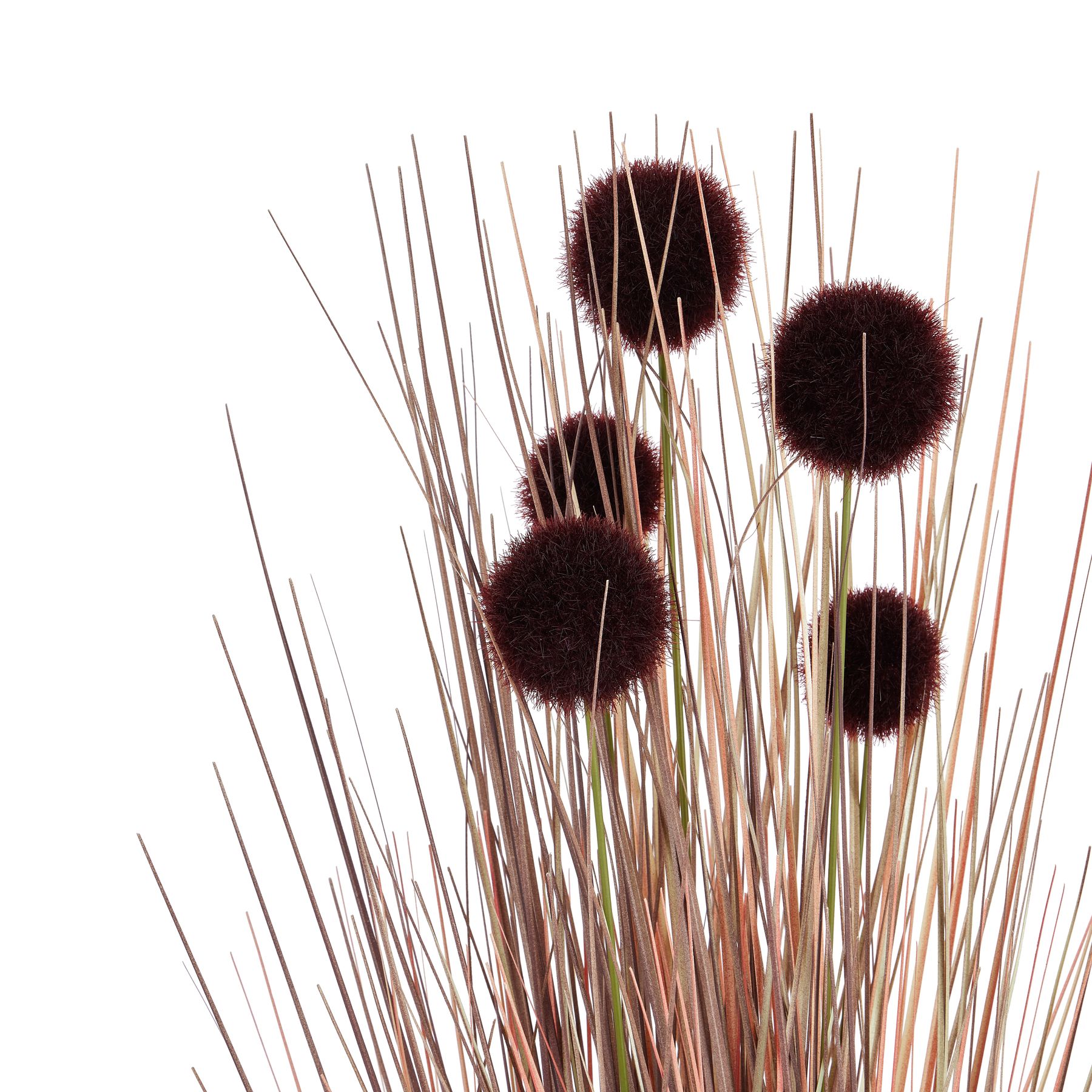 Burgundy Pompom Alliums In Black Pot - Image 2