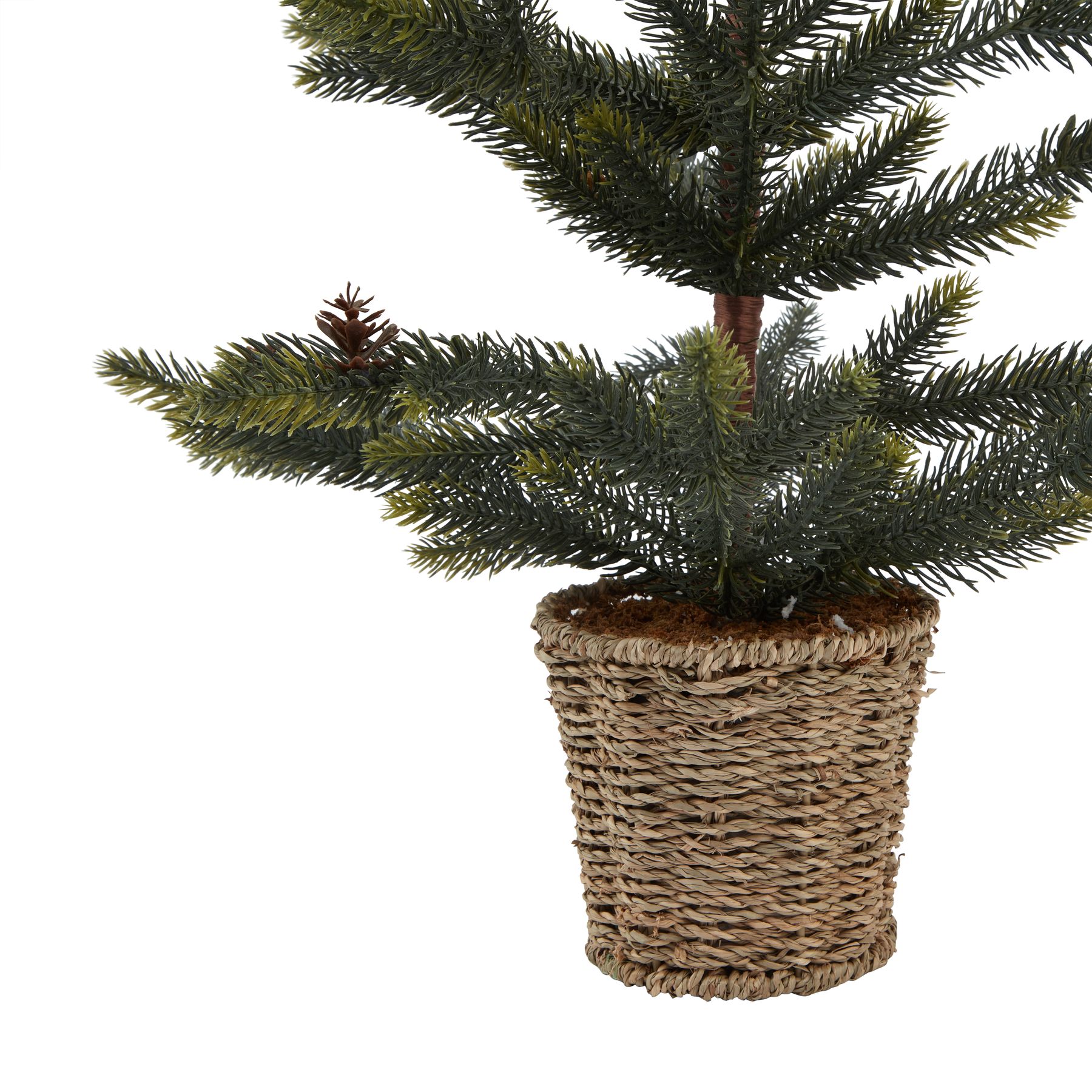 Medium Spruce Tree With Wicker Basket - Image 2