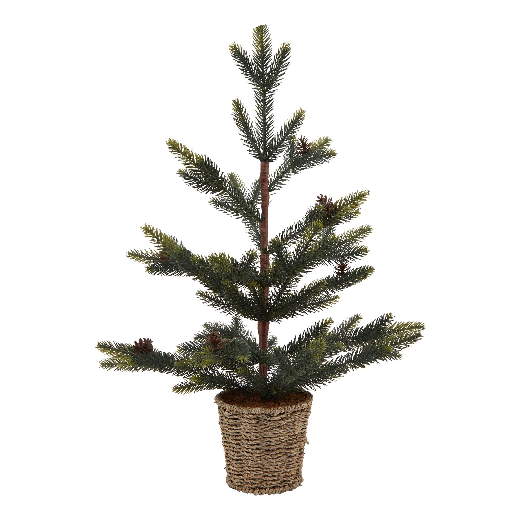 Medium Spruce Tree With Wicker Basket - Image 1