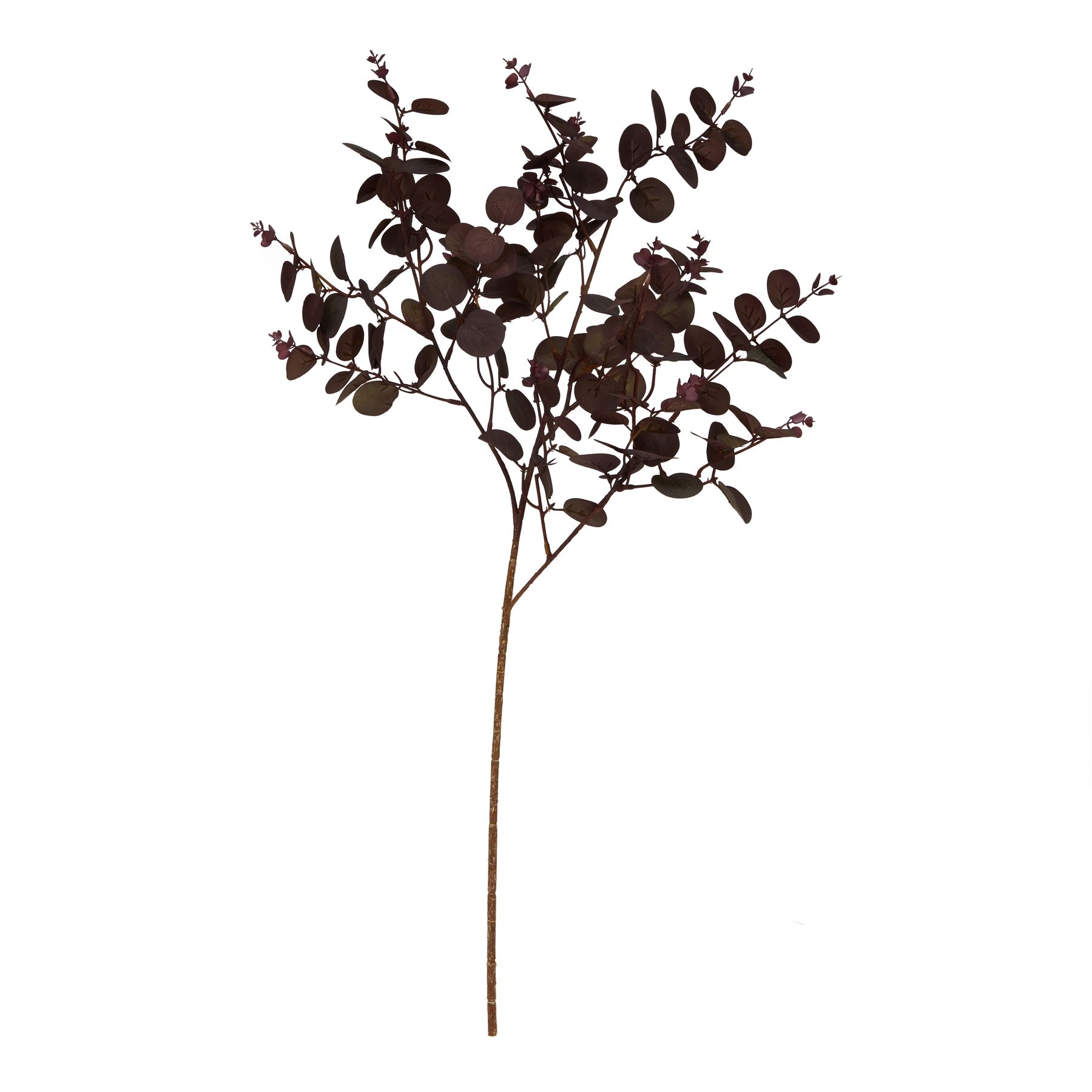 Burgundy Eucalyptus Bunch - Image 3