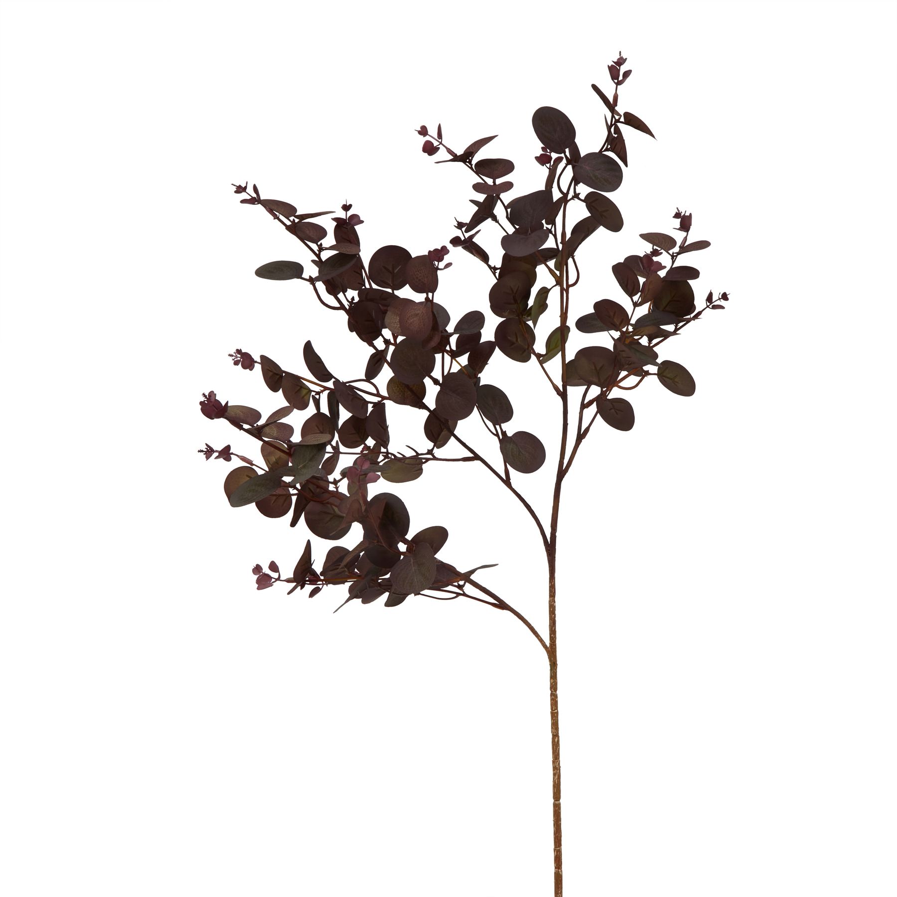 Burgundy Eucalyptus Bunch - Image 1