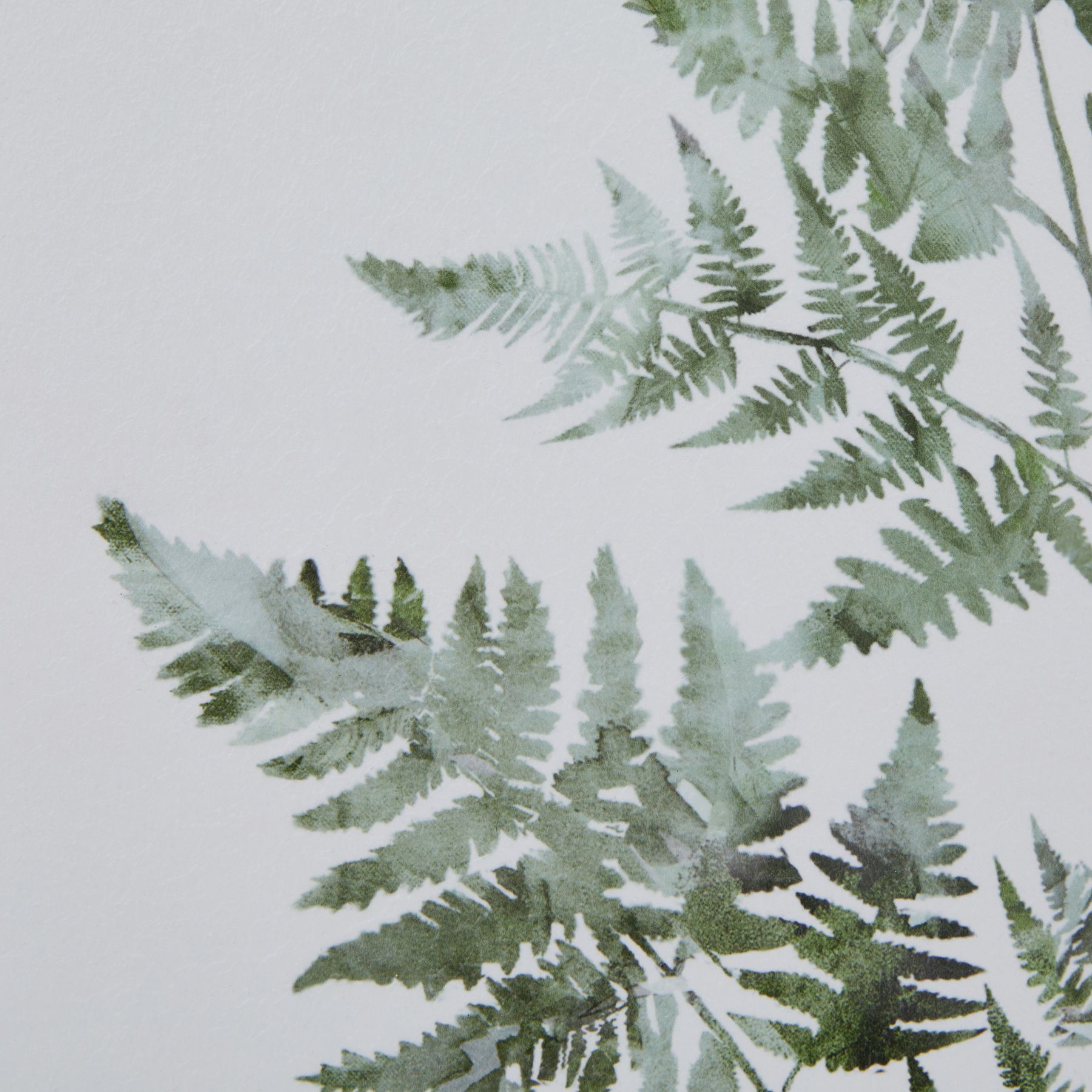 Watercolour Bracken Fern In Washed Wood Frame - Image 3