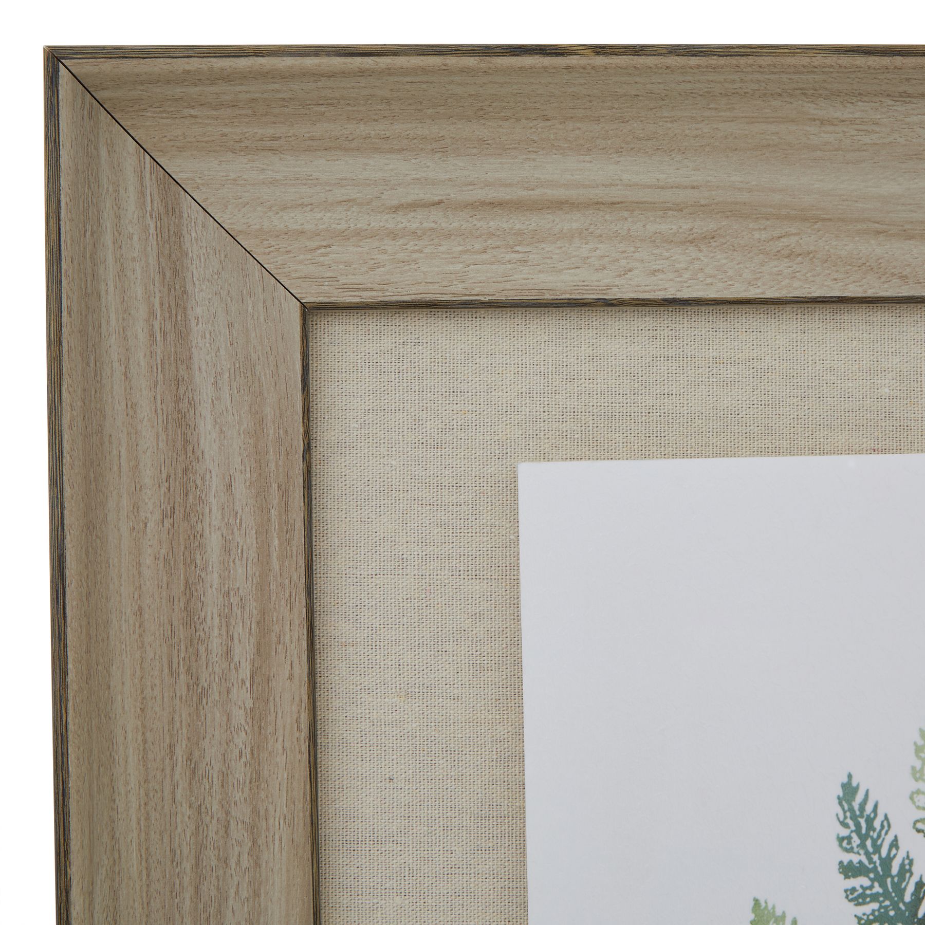 Watercolour Fern Duo In Washed Wood Frame - Image 2