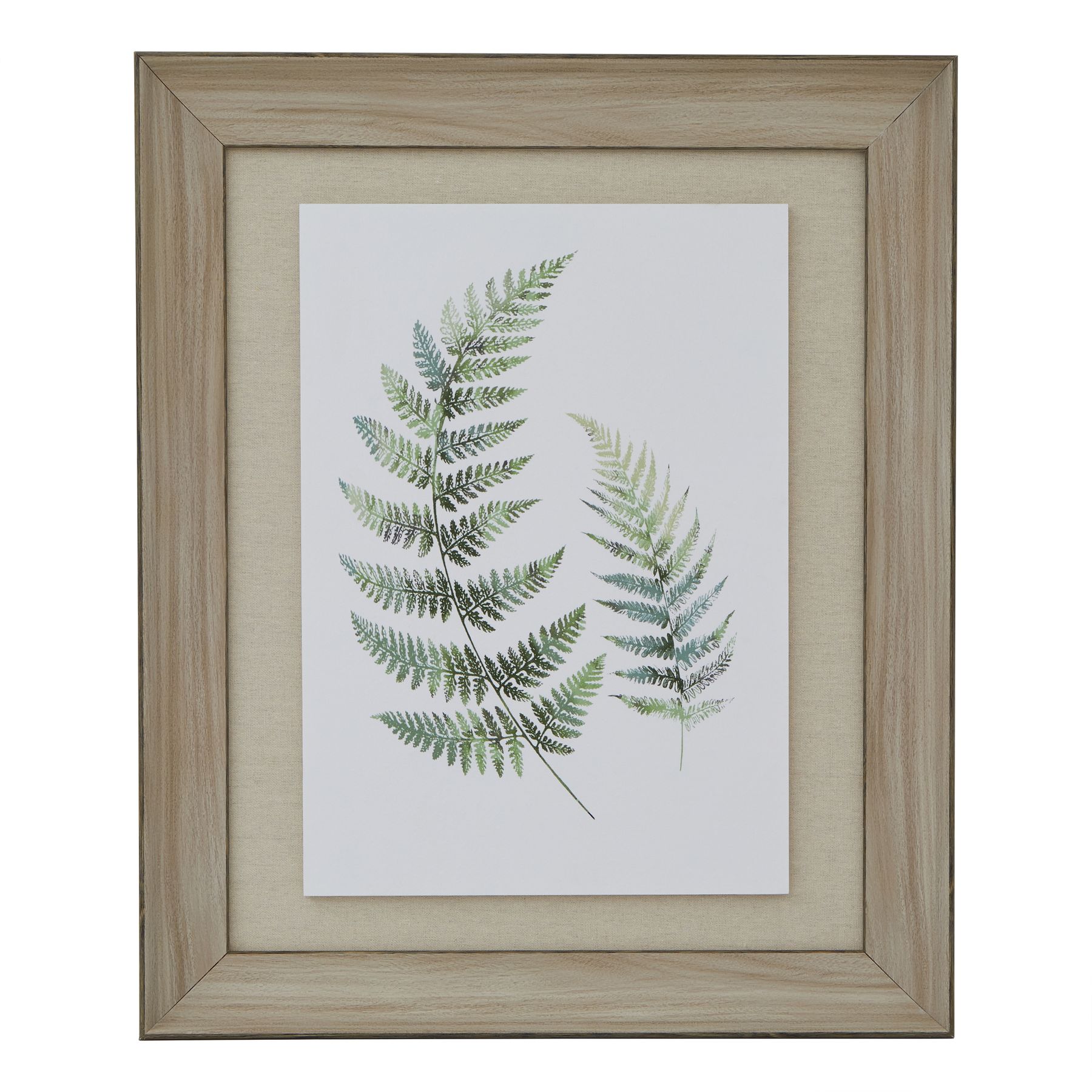 Watercolour Fern Duo In Washed Wood Frame - Image 1