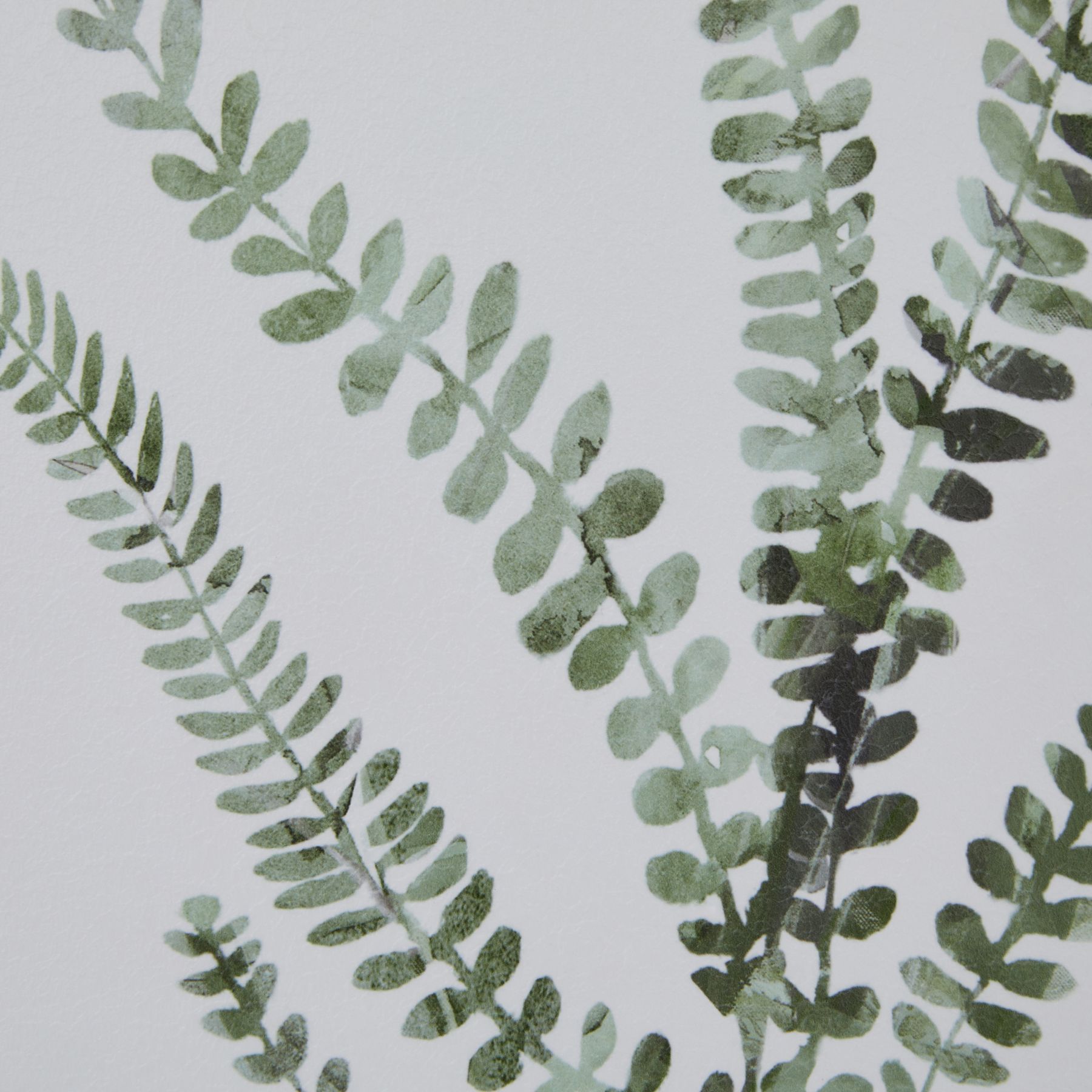 Watercolour Delicate Fern In Washed Wood Frame - Image 3