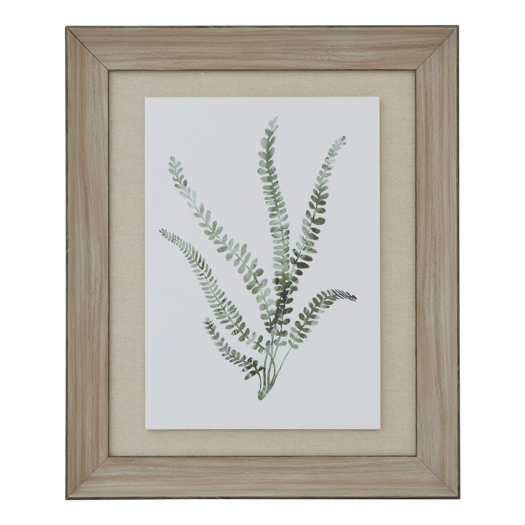 Watercolour Delicate Fern In Washed Wood Frame - Image 1