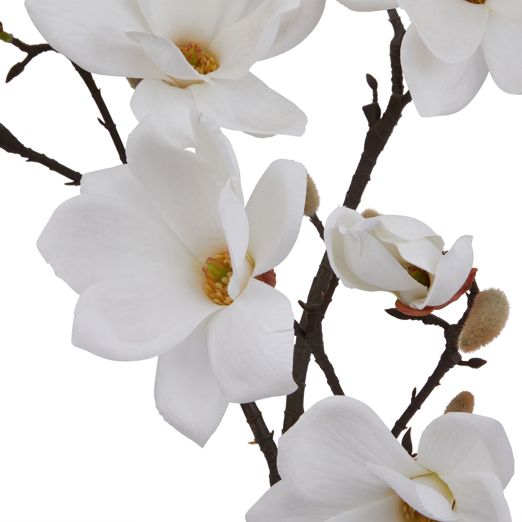 The Natural Garden Collection White Magnolia Stem - Image 2