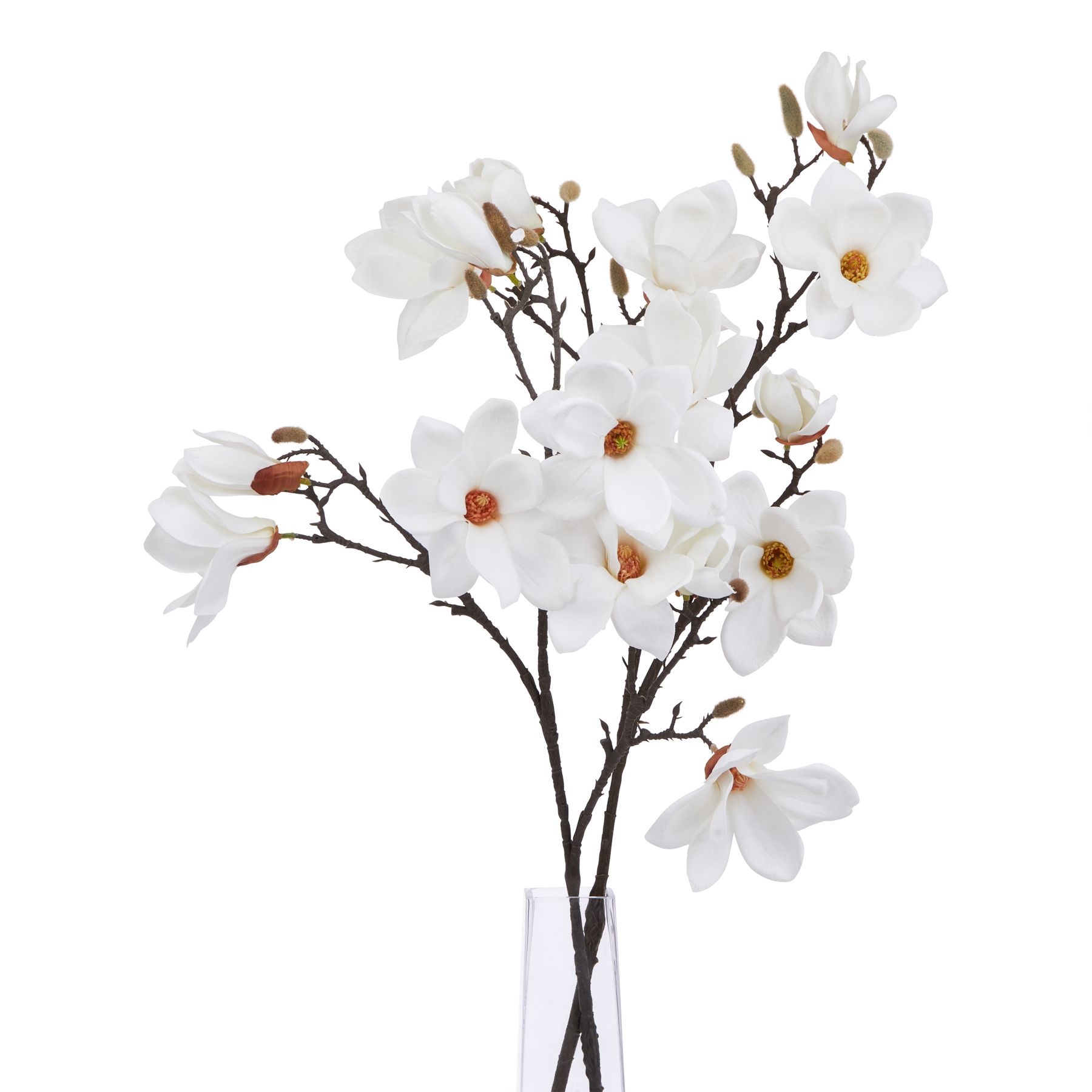 The Natural Garden Collection White Magnolia Stem - Image 3