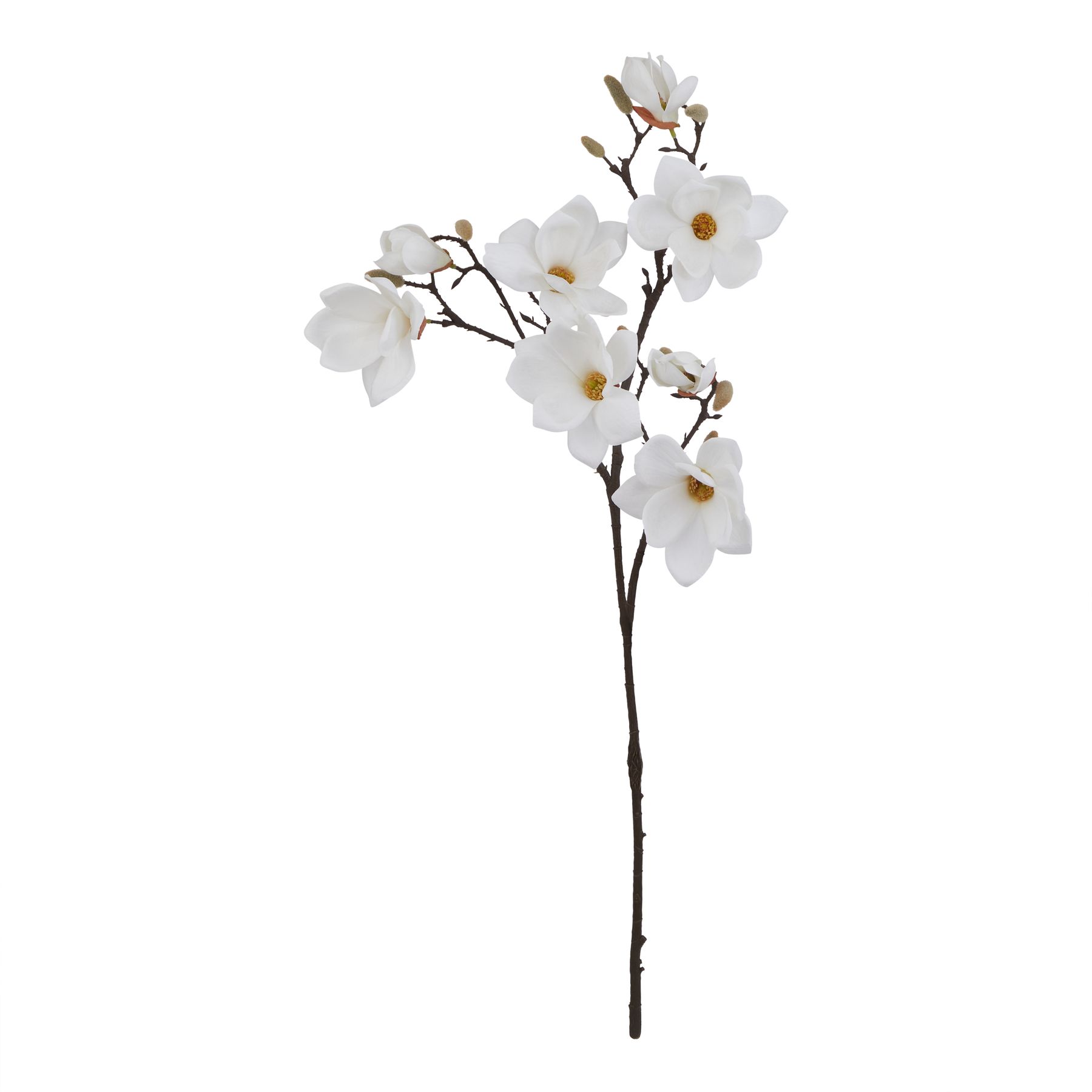 The Natural Garden Collection White Magnolia Stem - Image 1