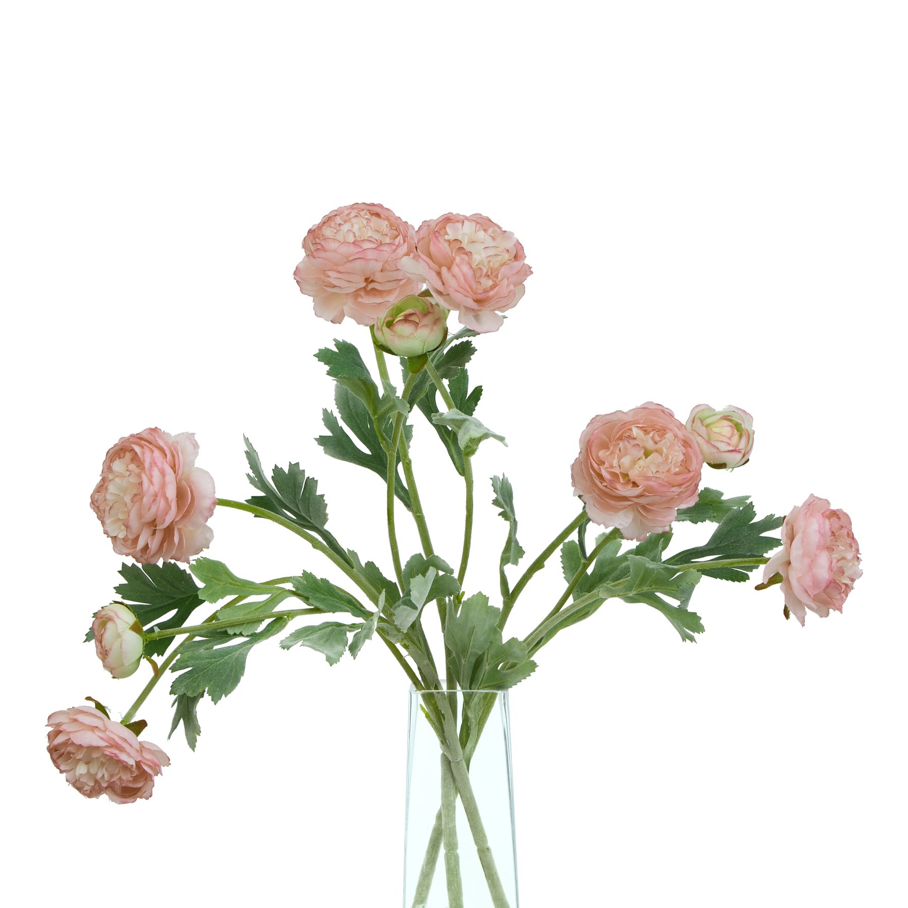 The Natural Garden Collection Pink Ranunculus - Image 3
