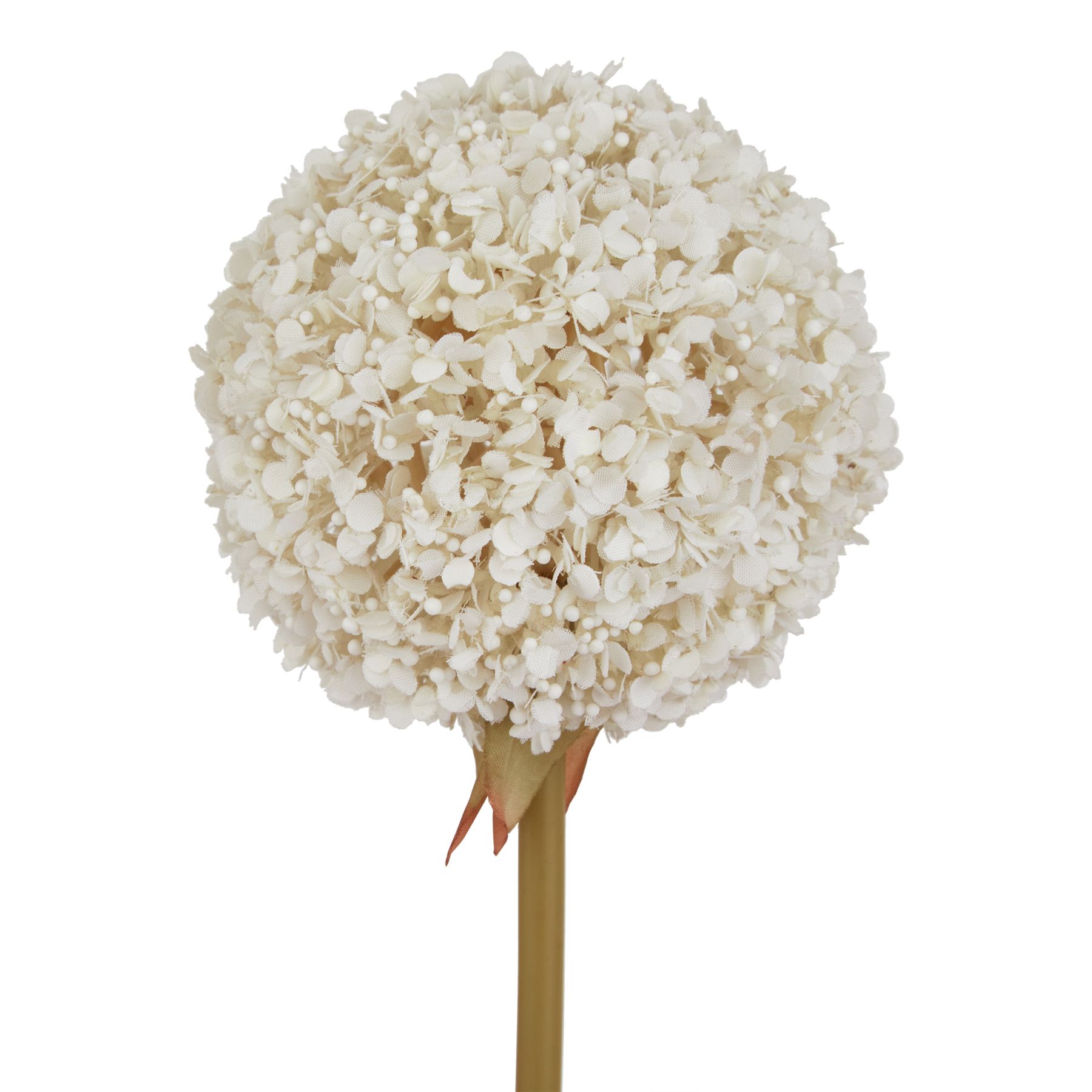 The Natural Garden Collection White Allium - Image 2