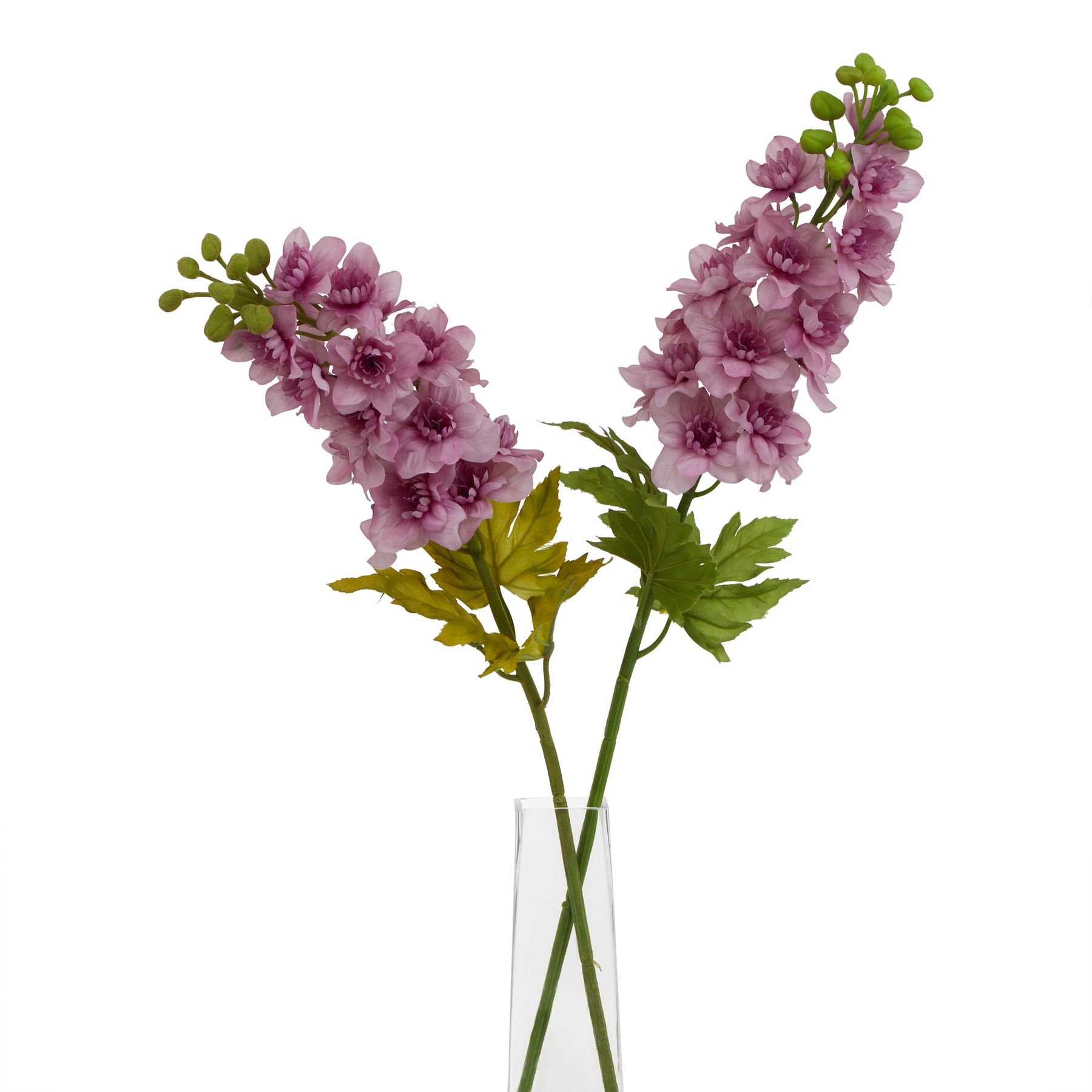 The Natural Garden Collection Purple Elatum Delphinium - Image 3
