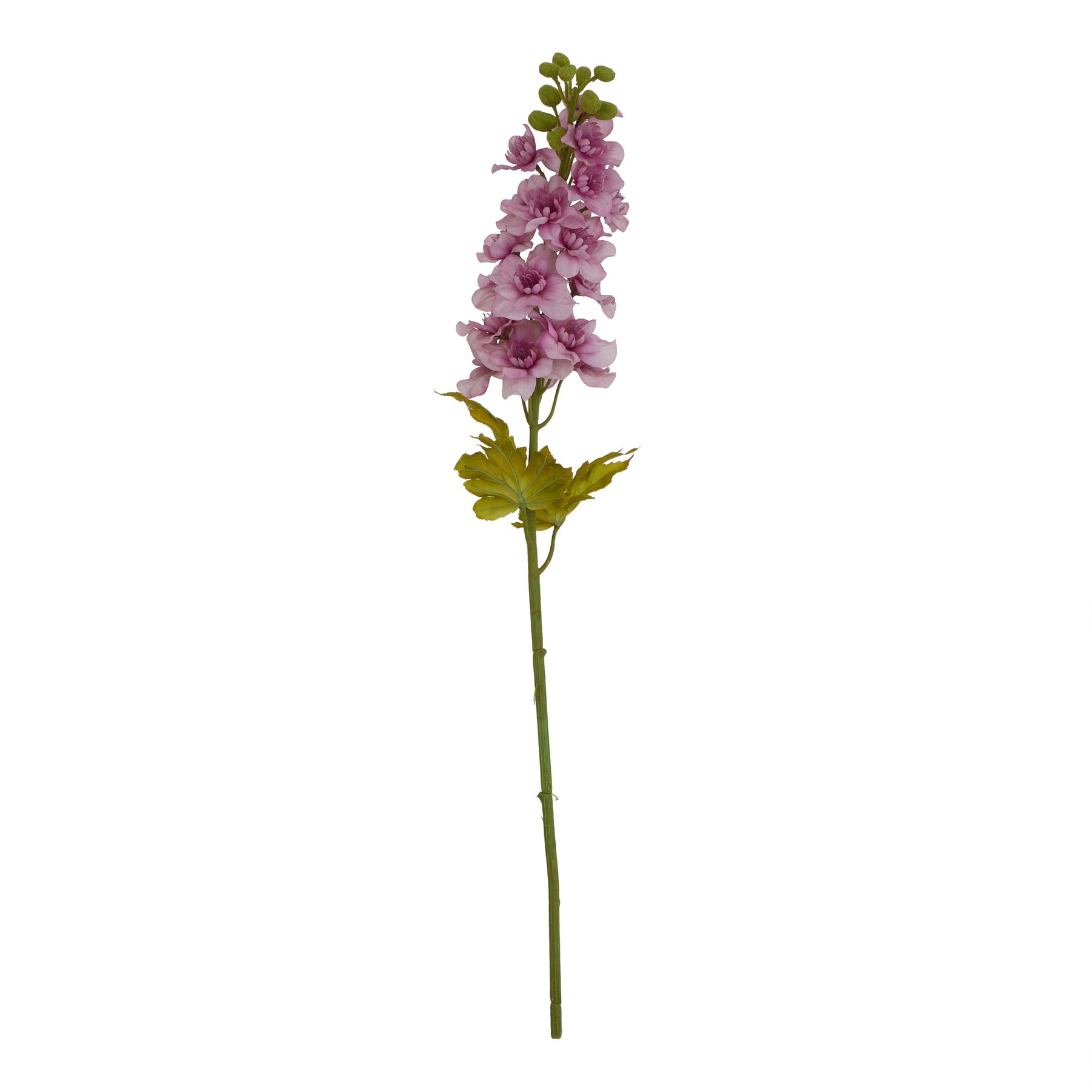 The Natural Garden Collection Purple Elatum Delphinium - Image 1