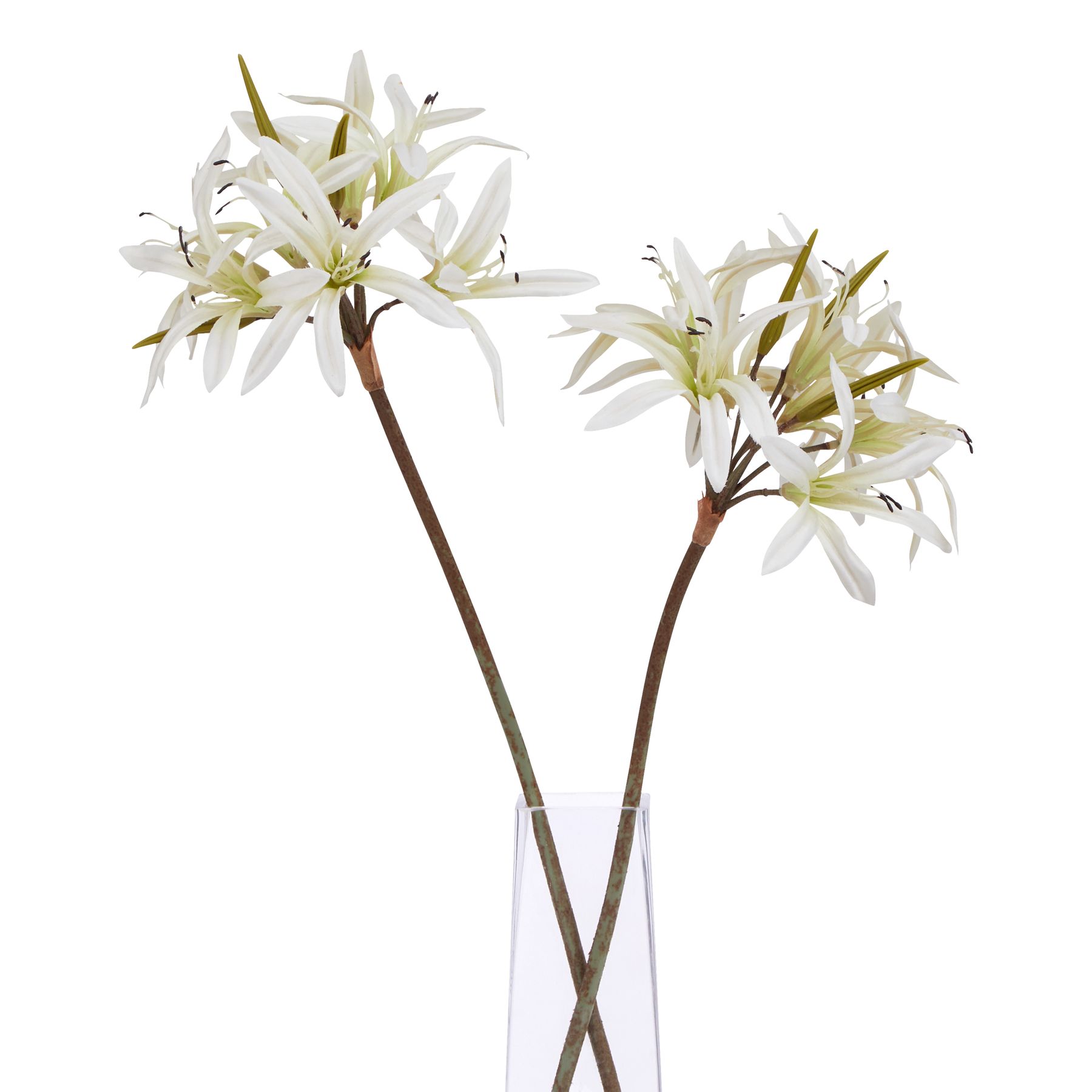 The Natural Garden Collection White Nerine Lily Stem - Image 3