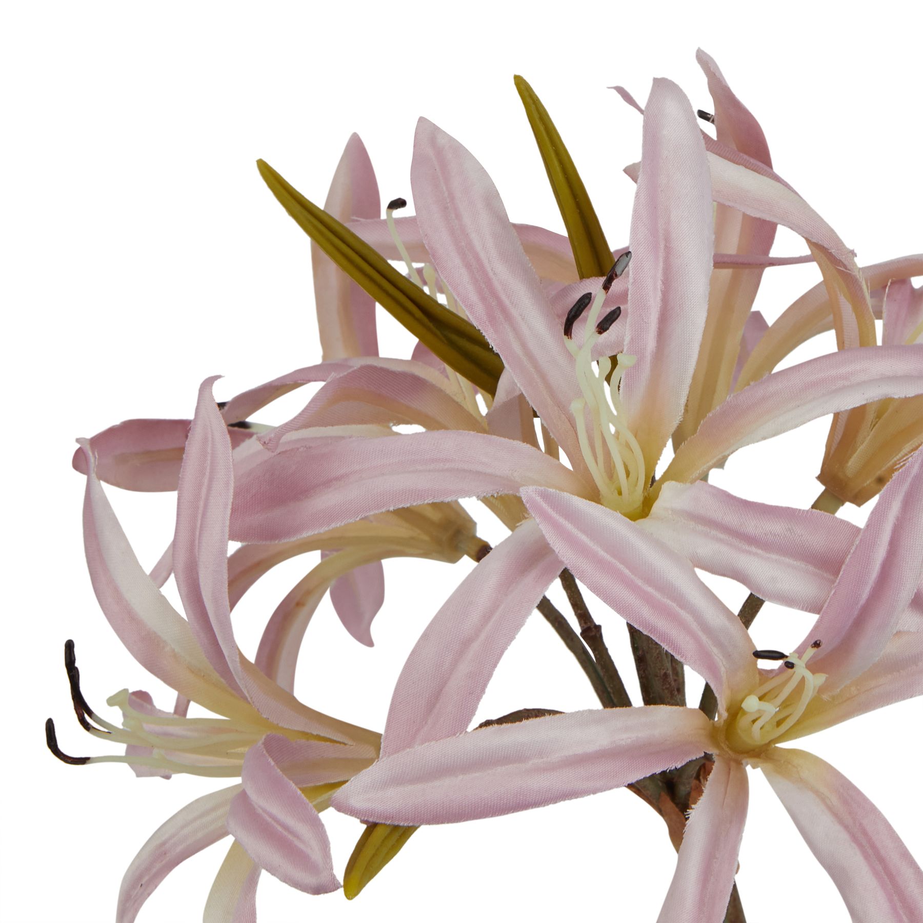 The Natural Garden Collection Pink Lily Stem - Image 2