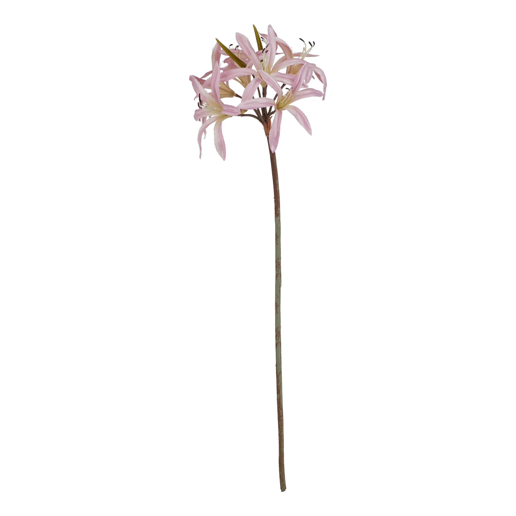 The Natural Garden Collection Pink Lily Stem - Image 1