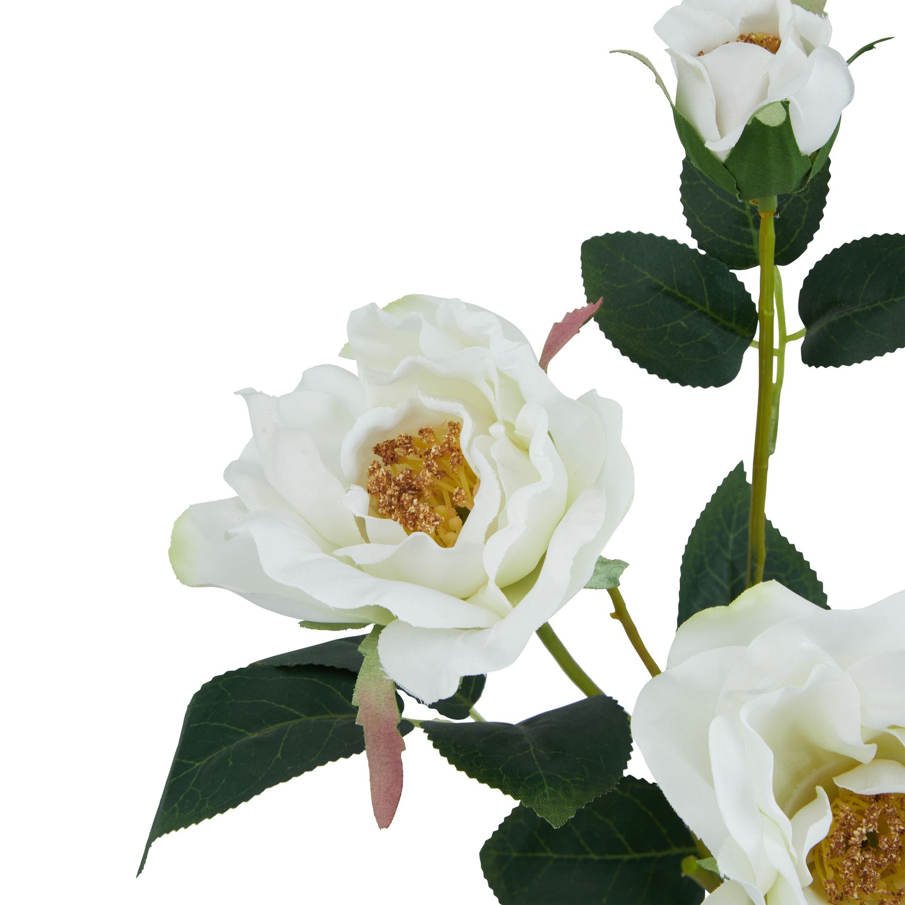 The Natural Garden Collection White Tea Rose - Image 2
