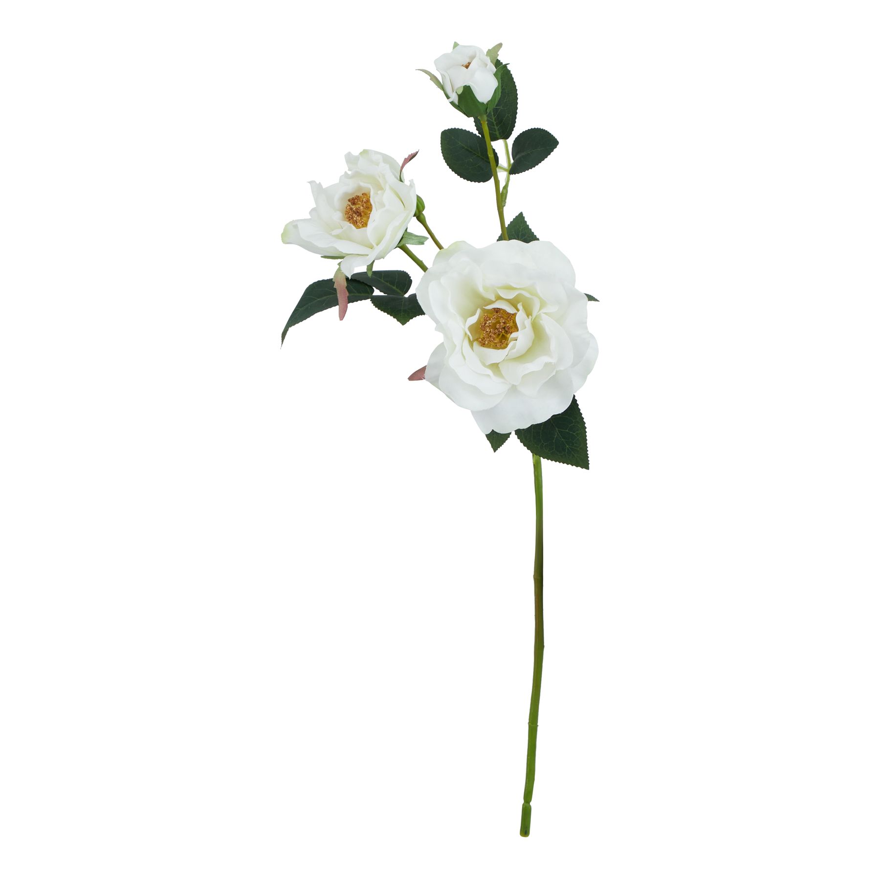 The Natural Garden Collection White Tea Rose - Image 1