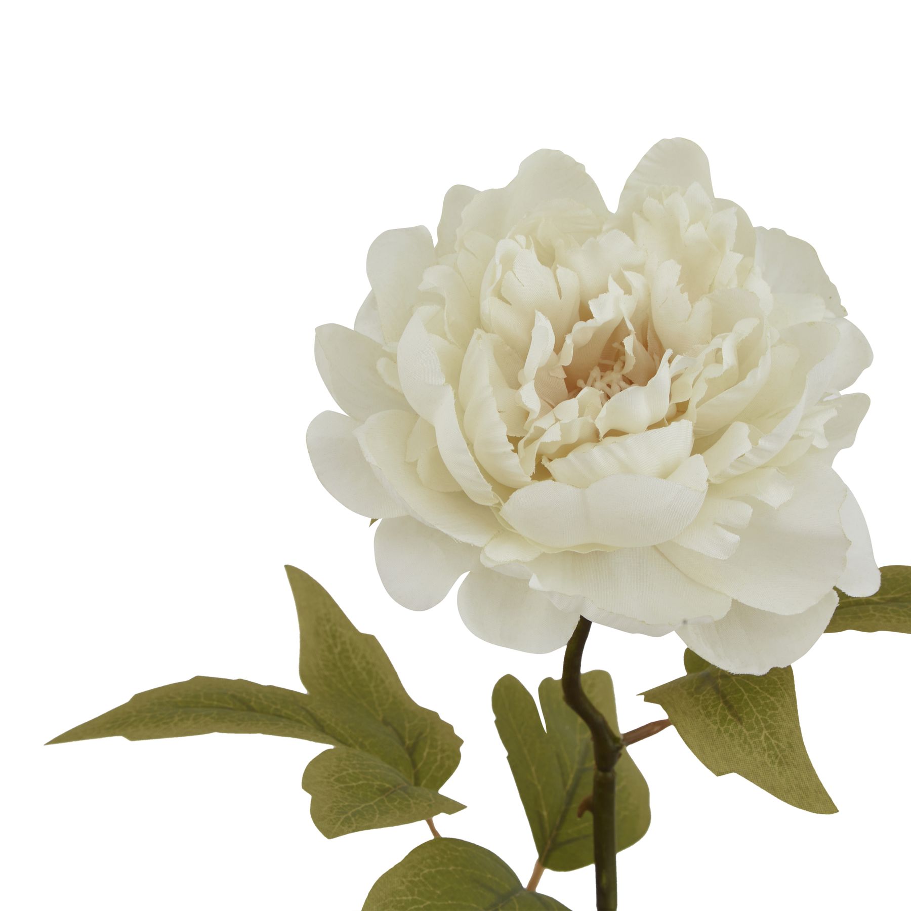 The Natural Garden Collection White Peony - Image 2