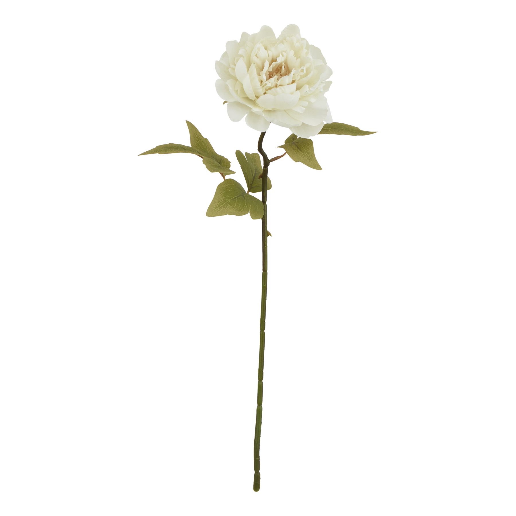 The Natural Garden Collection White Peony - Image 1