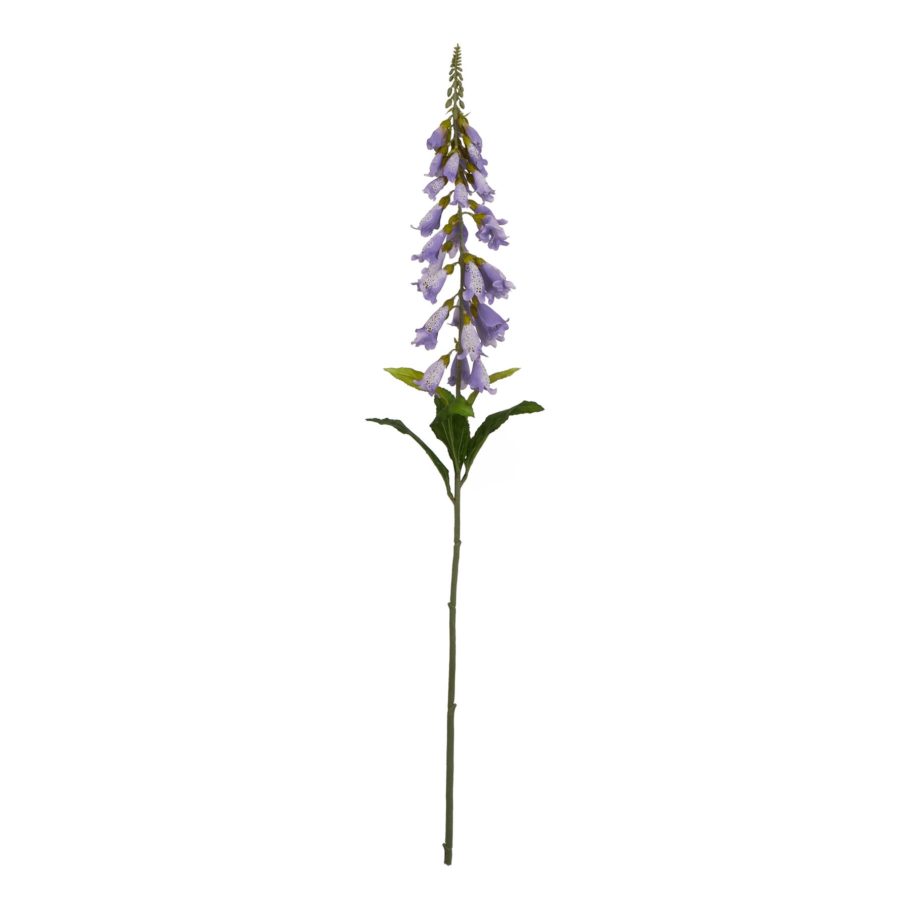 The Natural Garden Collection Mauve Foxglove - Image 1