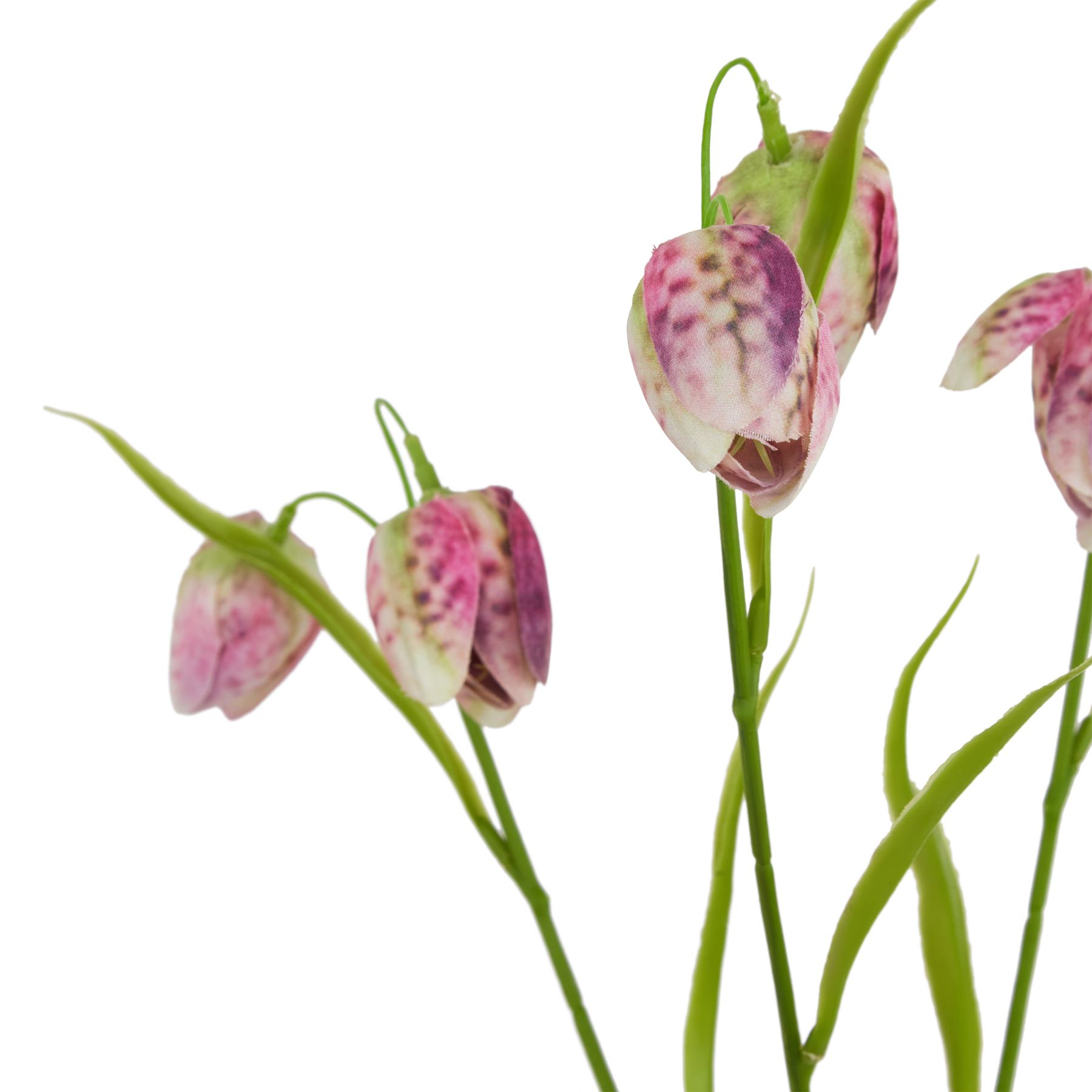 The Natural Garden Collection Purple Fritillaria Stem - Image 2