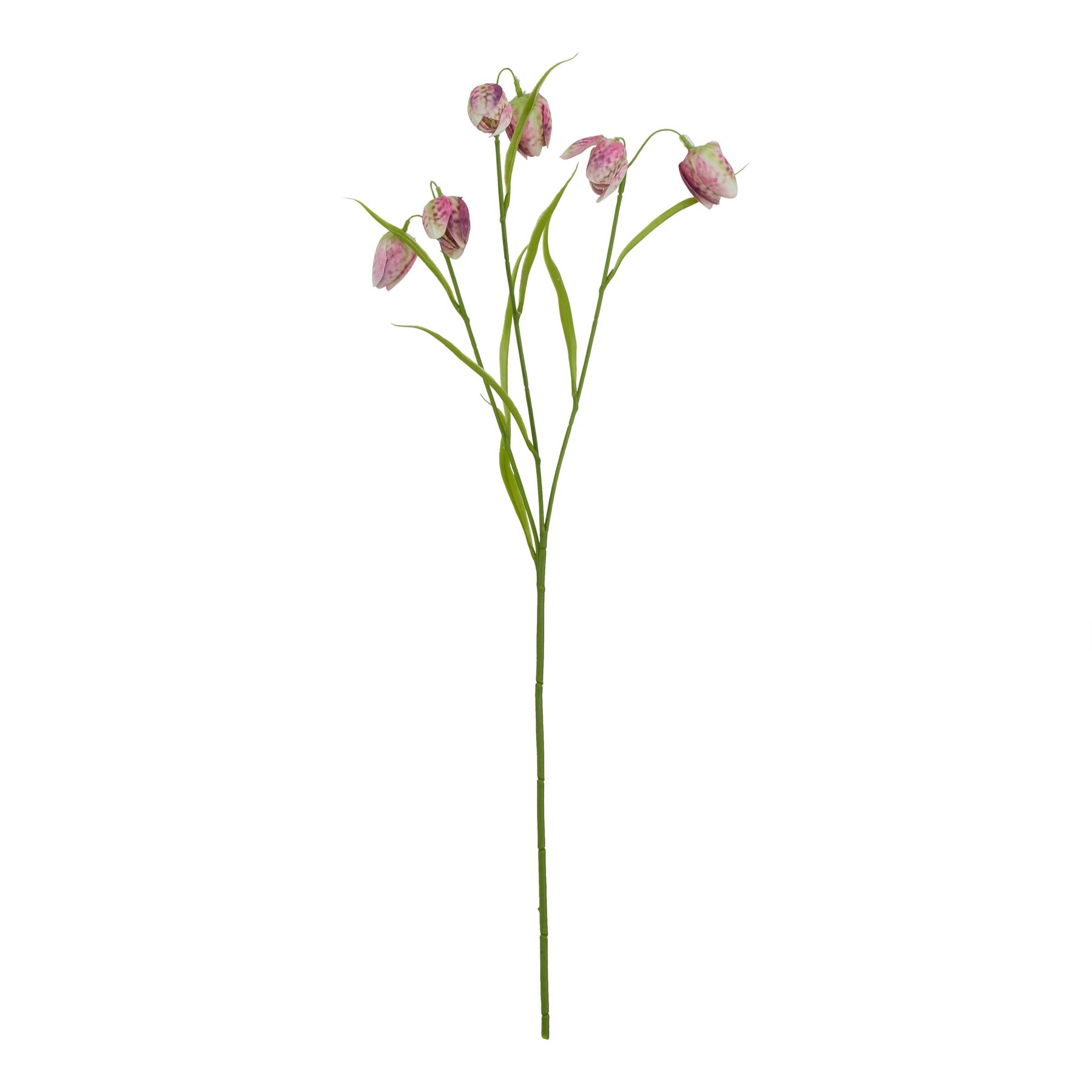 The Natural Garden Collection Purple Fritillaria Stem - Image 1