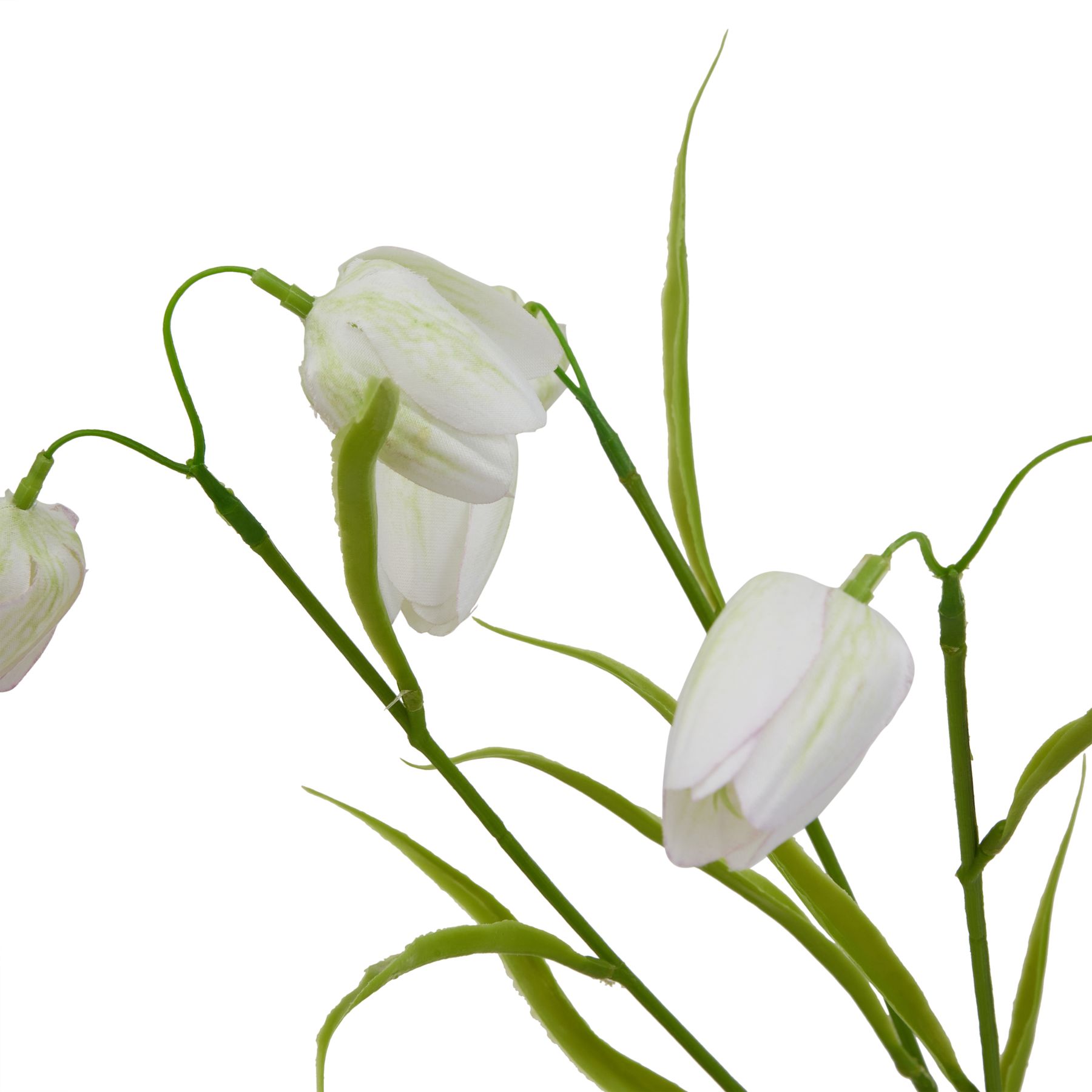 The Natural Garden Collection White Fritillaria Stem - Image 2