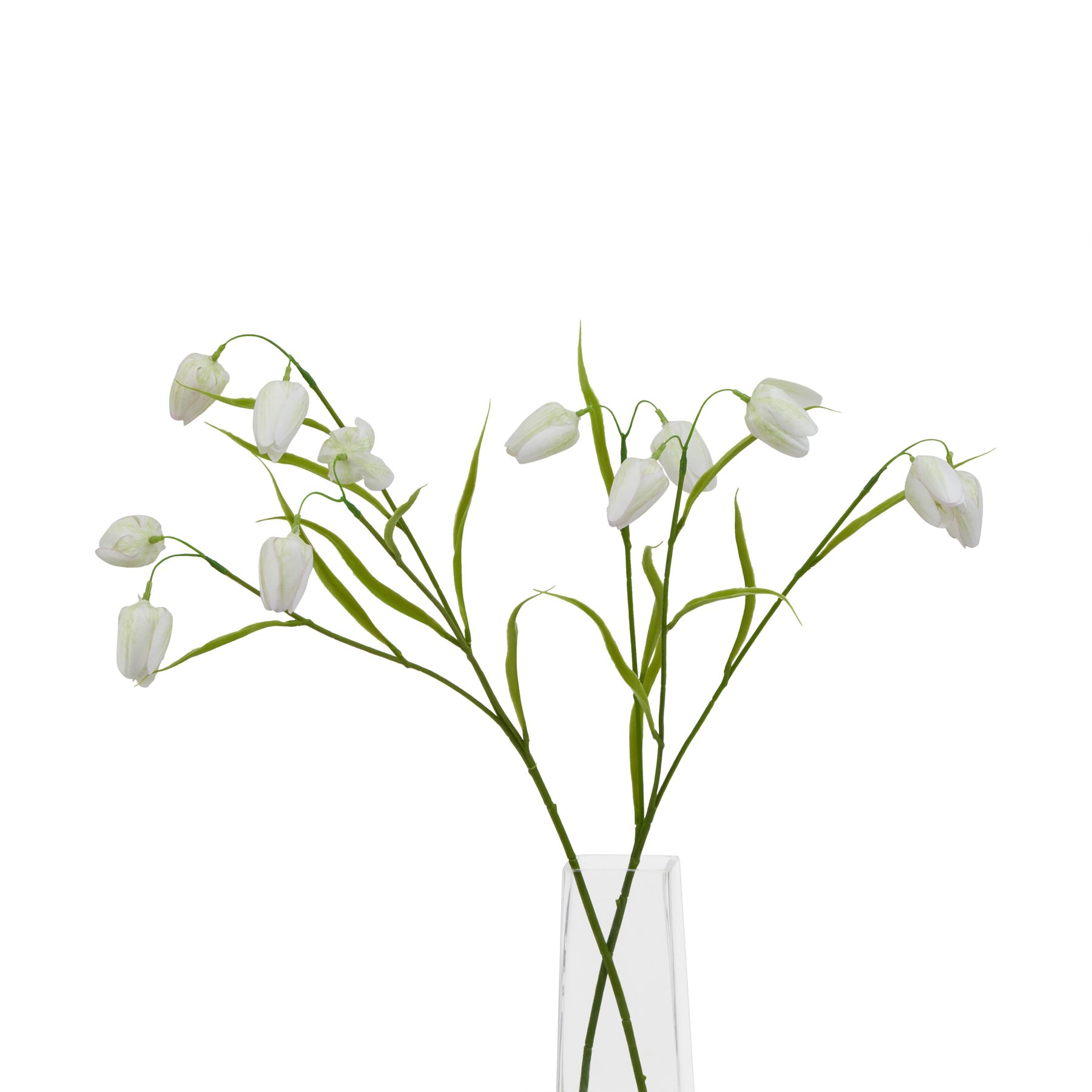The Natural Garden Collection White Fritillaria Stem - Image 3