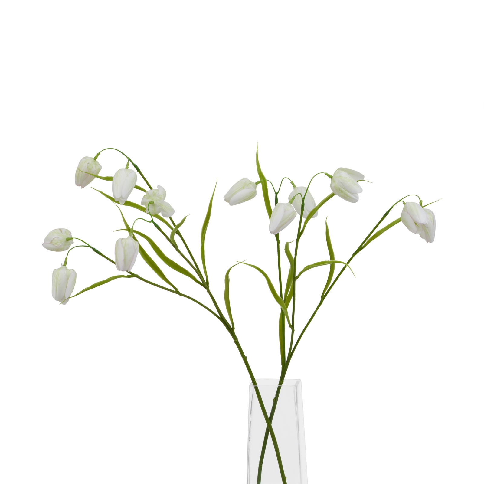 The Natural Garden Collection White Fritillaria Stem - Image 5