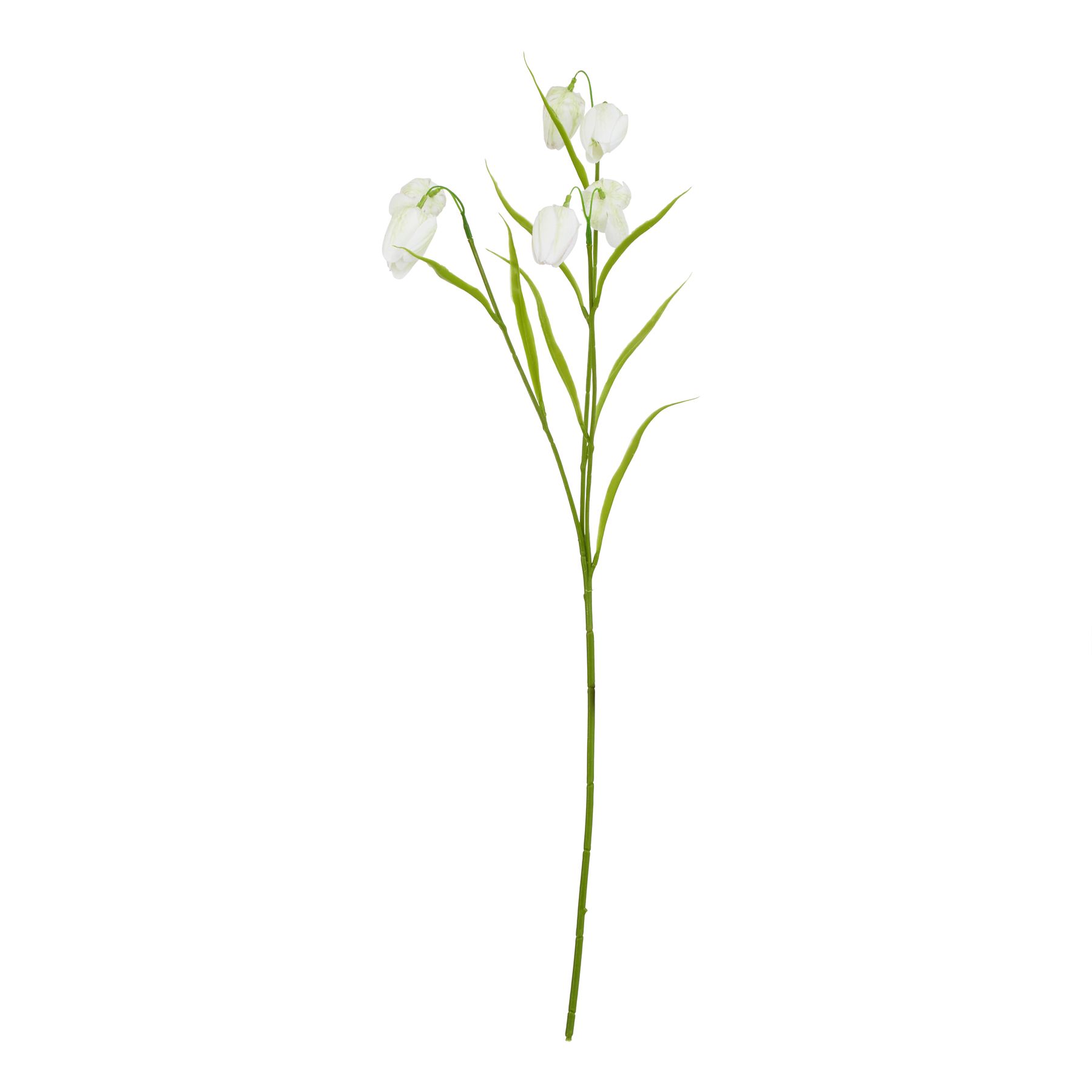The Natural Garden Collection White Fritillaria Stem - Image 1