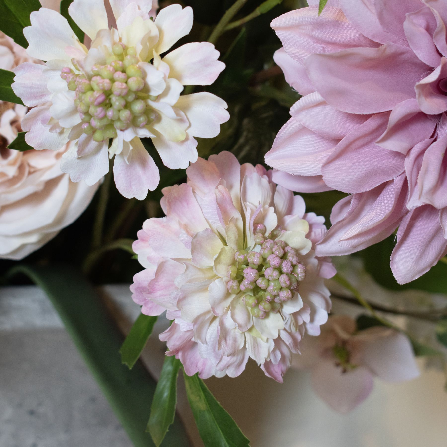 The Natural Garden Collection Pale Pink Scabious Stem - Image 4