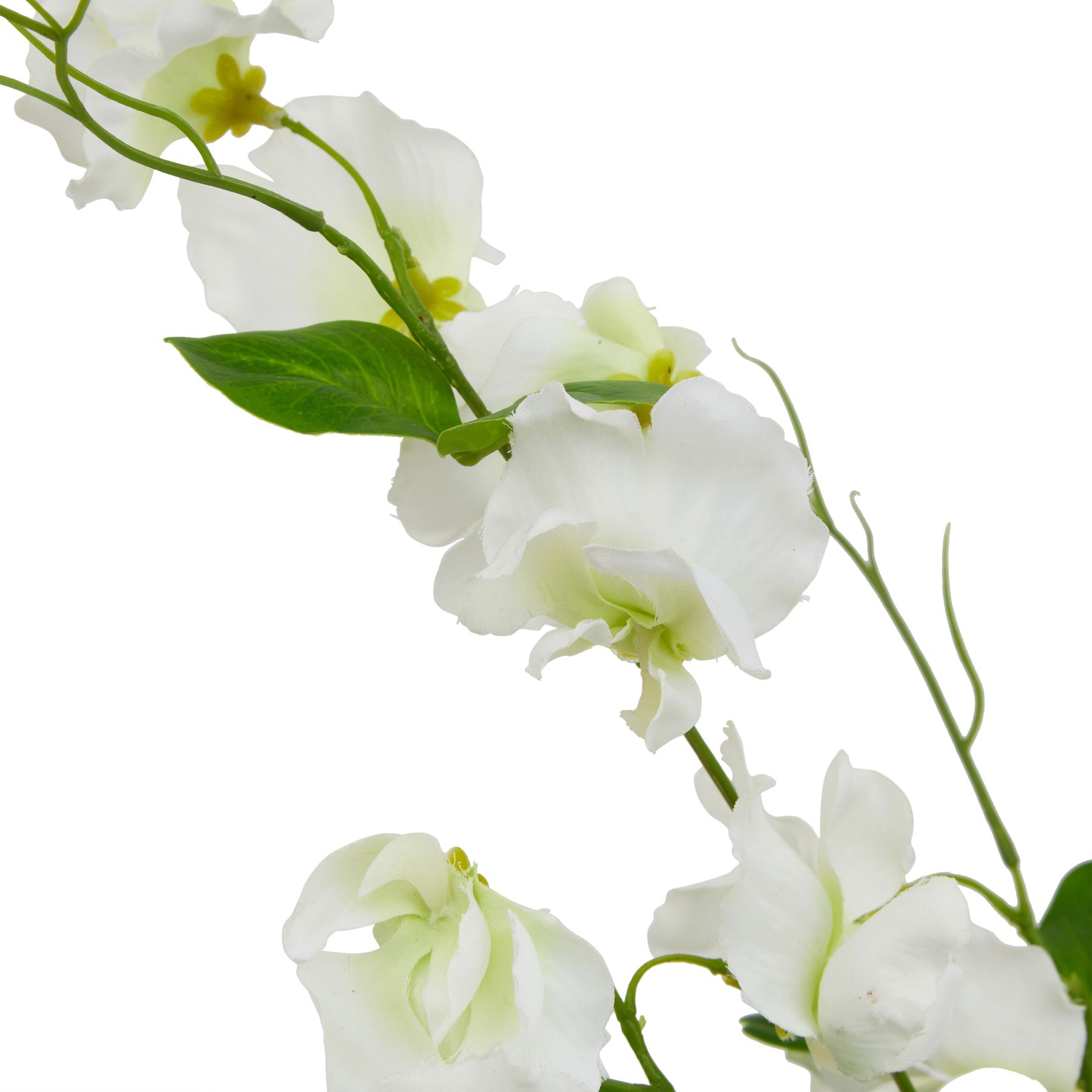 The Natural Garden Collection White Sweetpea Stem - Image 2