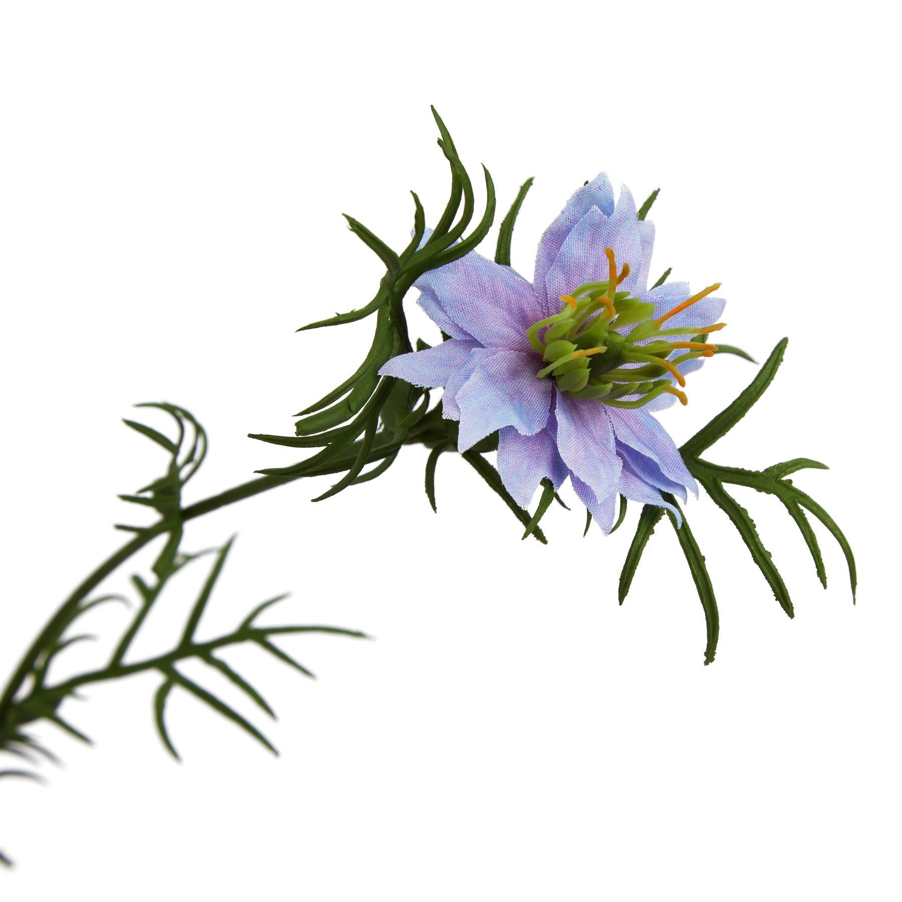 The Natural Garden Collection Purple Nigella Love In A Mist - Image 2