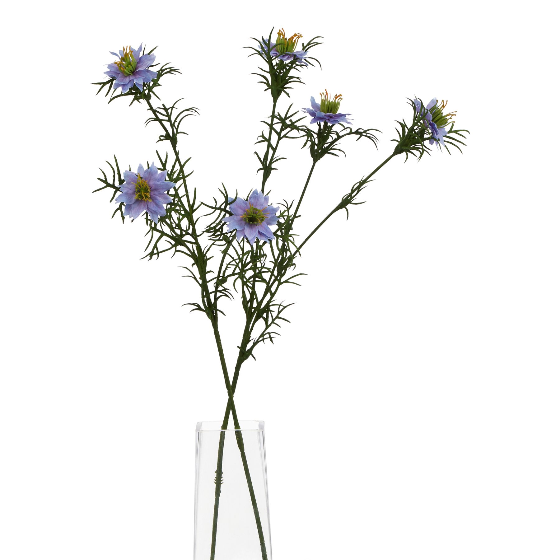 The Natural Garden Collection Purple Nigella Love In A Mist - Image 3