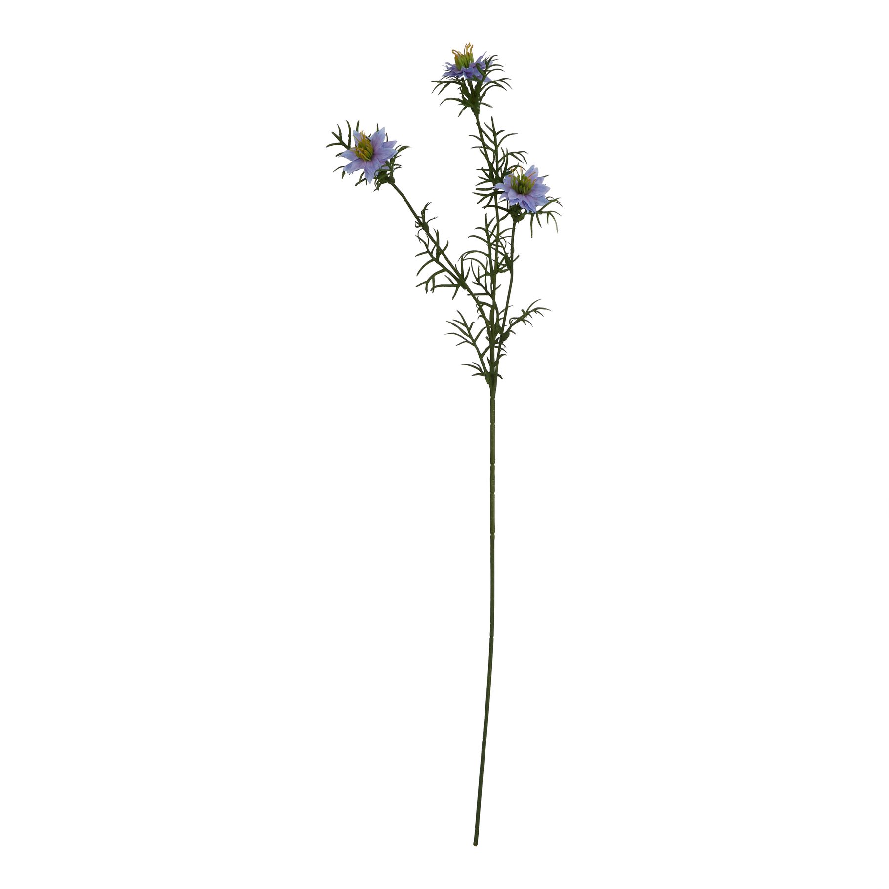 The Natural Garden Collection Purple Nigella Love In A Mist - Image 1