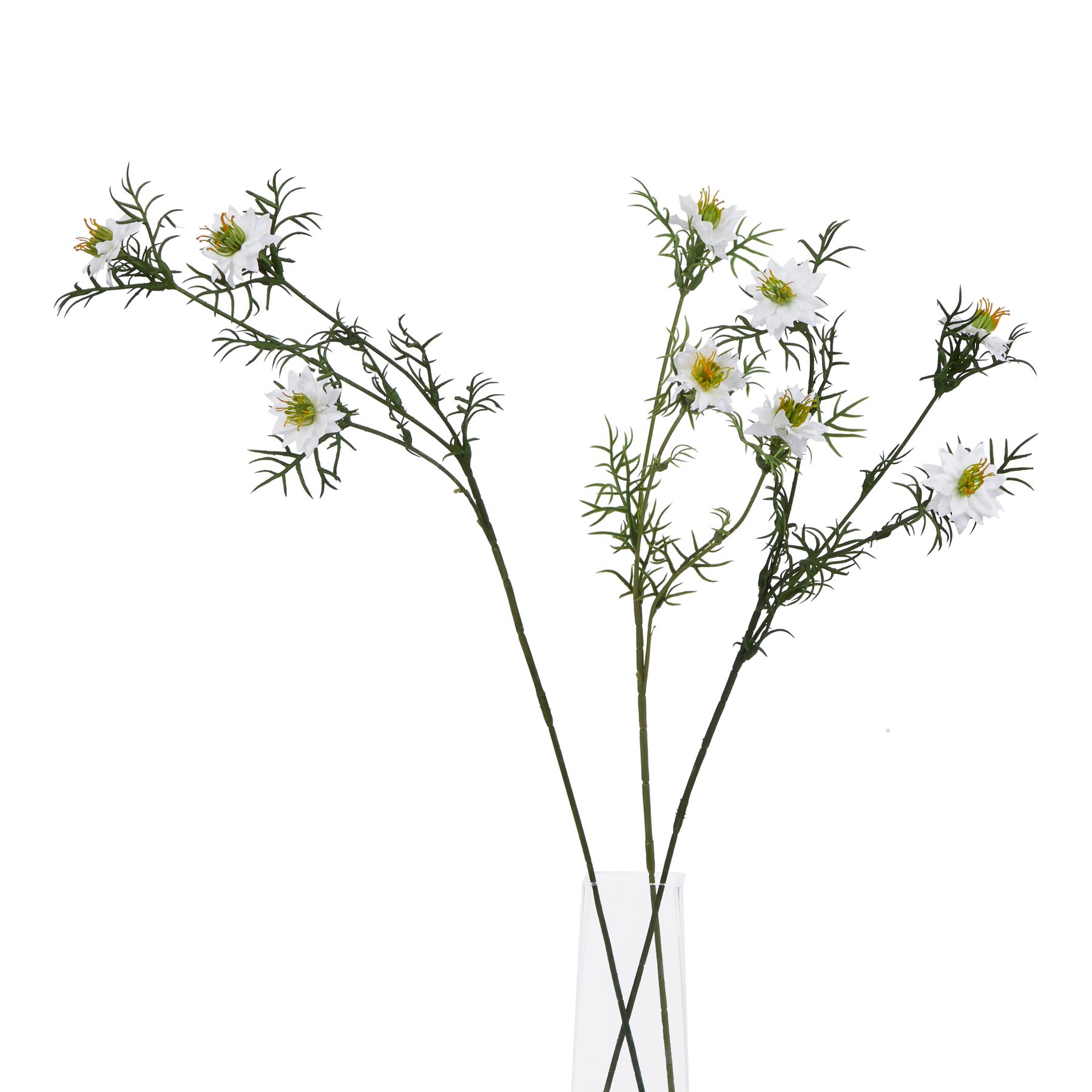 The Natural Garden Collection White Nigella Love In A Mist - Image 3