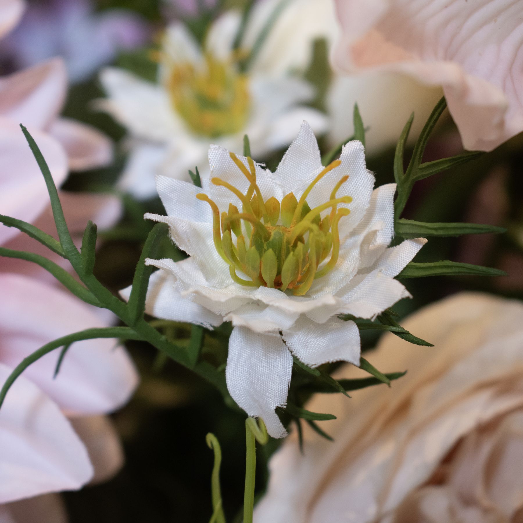 The Natural Garden Collection White Nigella Love In A Mist - Image 4