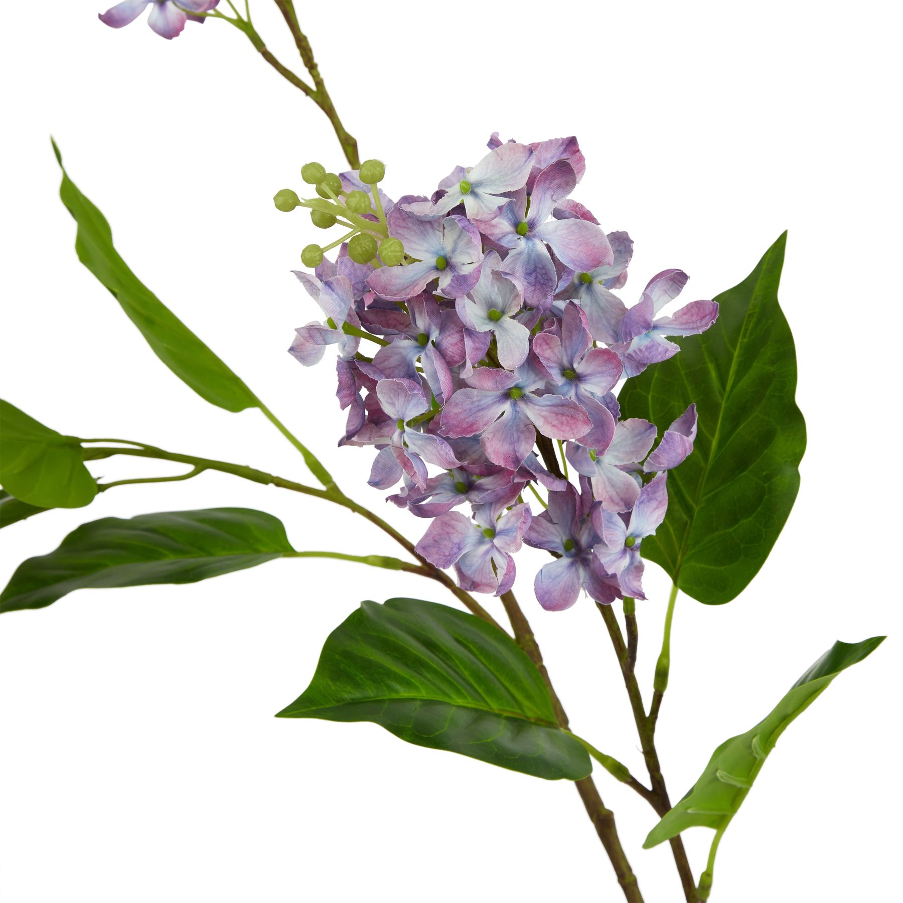 The Natural Garden Collection Purple Lilac Stem - Image 2