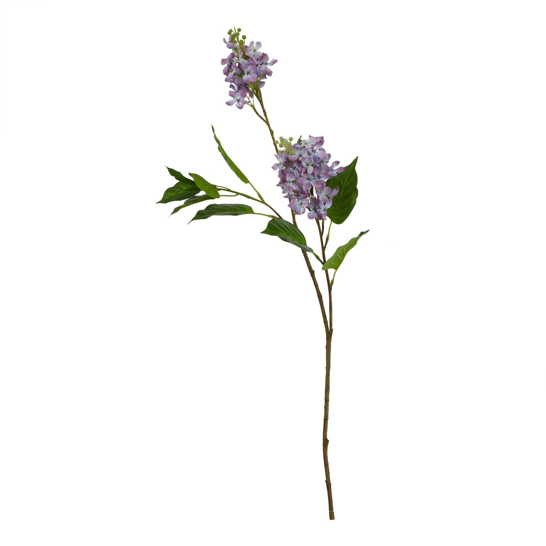 The Natural Garden Collection Purple Lilac Stem - Image 1