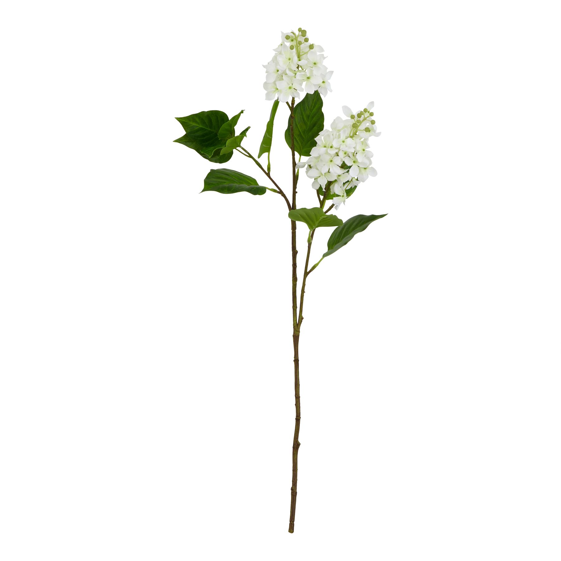 The Natural Garden Collection White Lilac Stem - Image 1