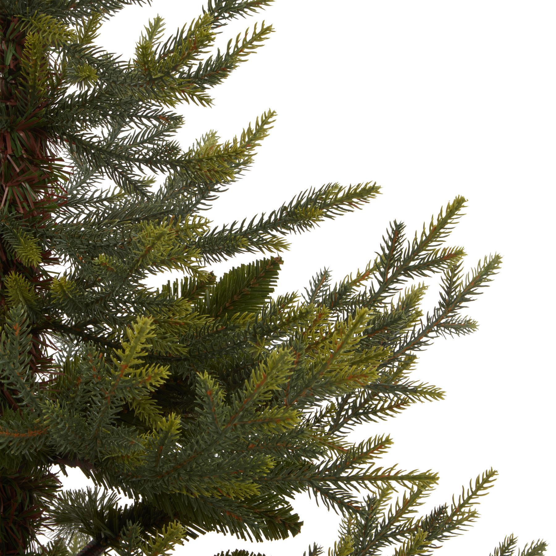 Potted Natural Pine Tree - Image 3